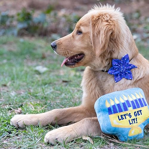 Miniatura 5 de Huxley & Kent Molinete para mascotas  Estrellas y puntos de Hanukkah (grande)  Accesorio de collar de velcro para perrosgatos  Accesorio de collar