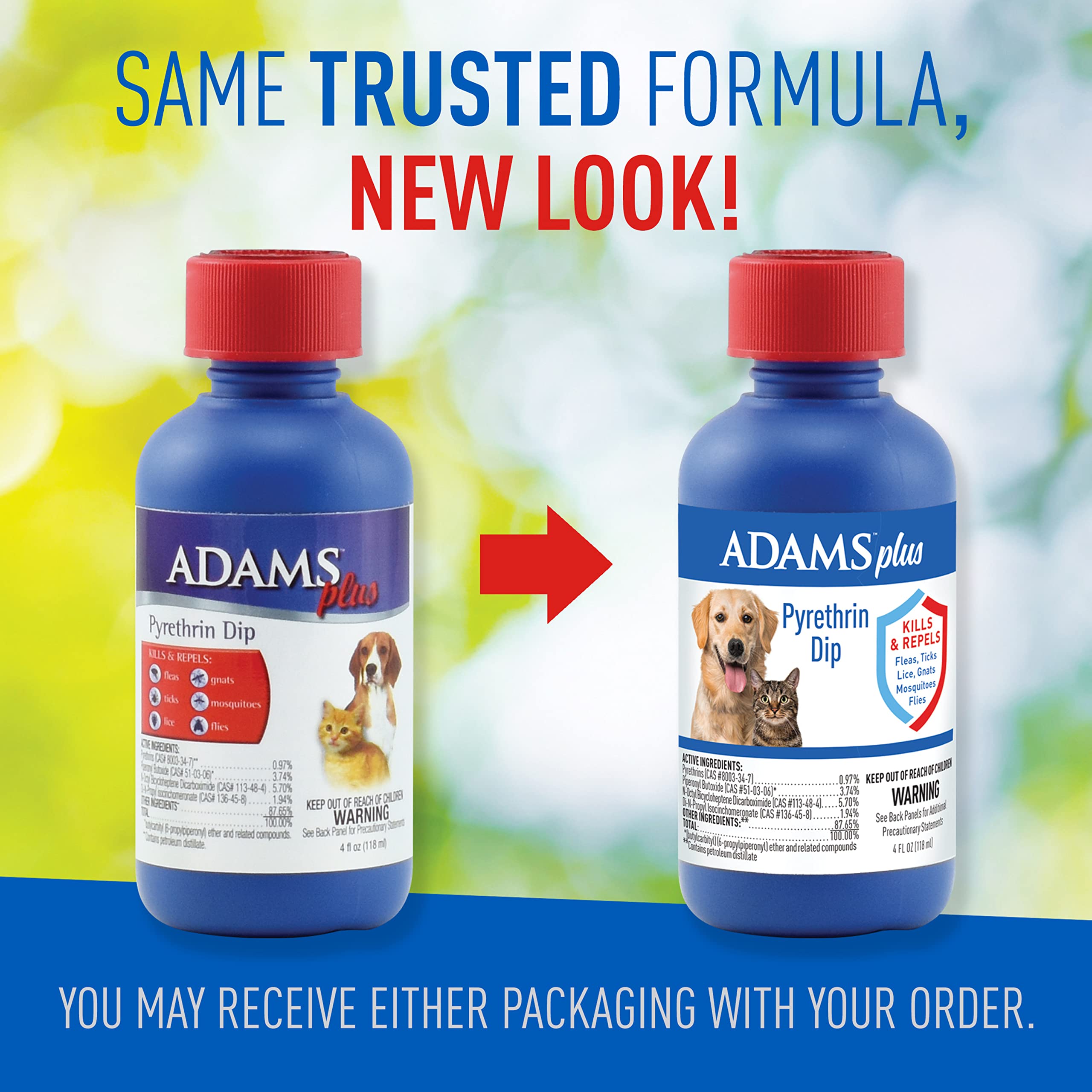 Are Flea Dips For Dogs And Cats Safe