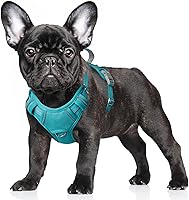 Vista 70 de BARKBAY Arnés para Perro Sin Tirones Talla Grande Arnés Reflectante para Perro con Clip Frontal y Asa de Control Fácil para Caminar Entrenar Correr