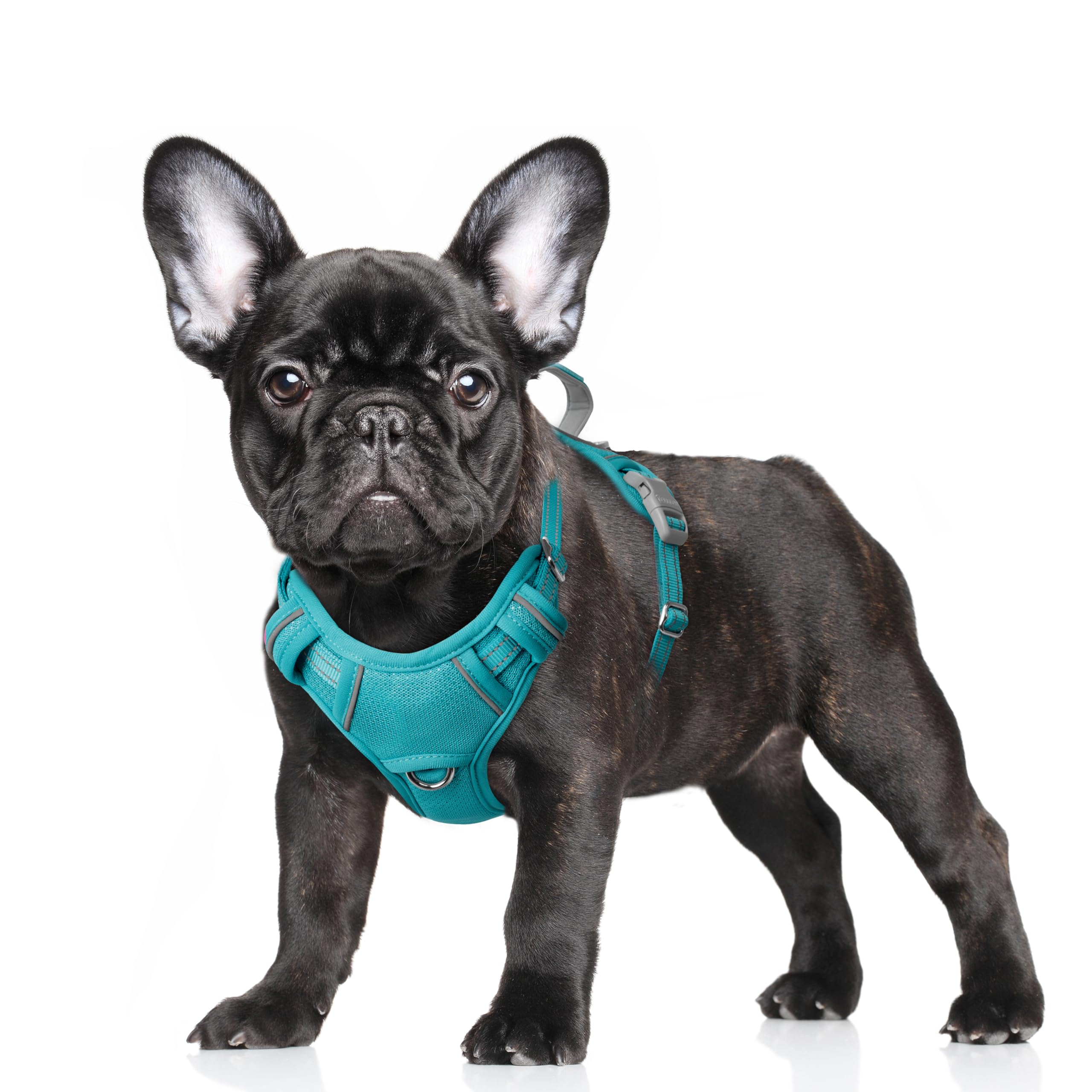 BARKBAY No Pull Dog Harness Large Reflective Dog Harness with Front Clip and Easy Control Handle for Walking Training Running with ID tag Pocket(Ocean Blue,S)