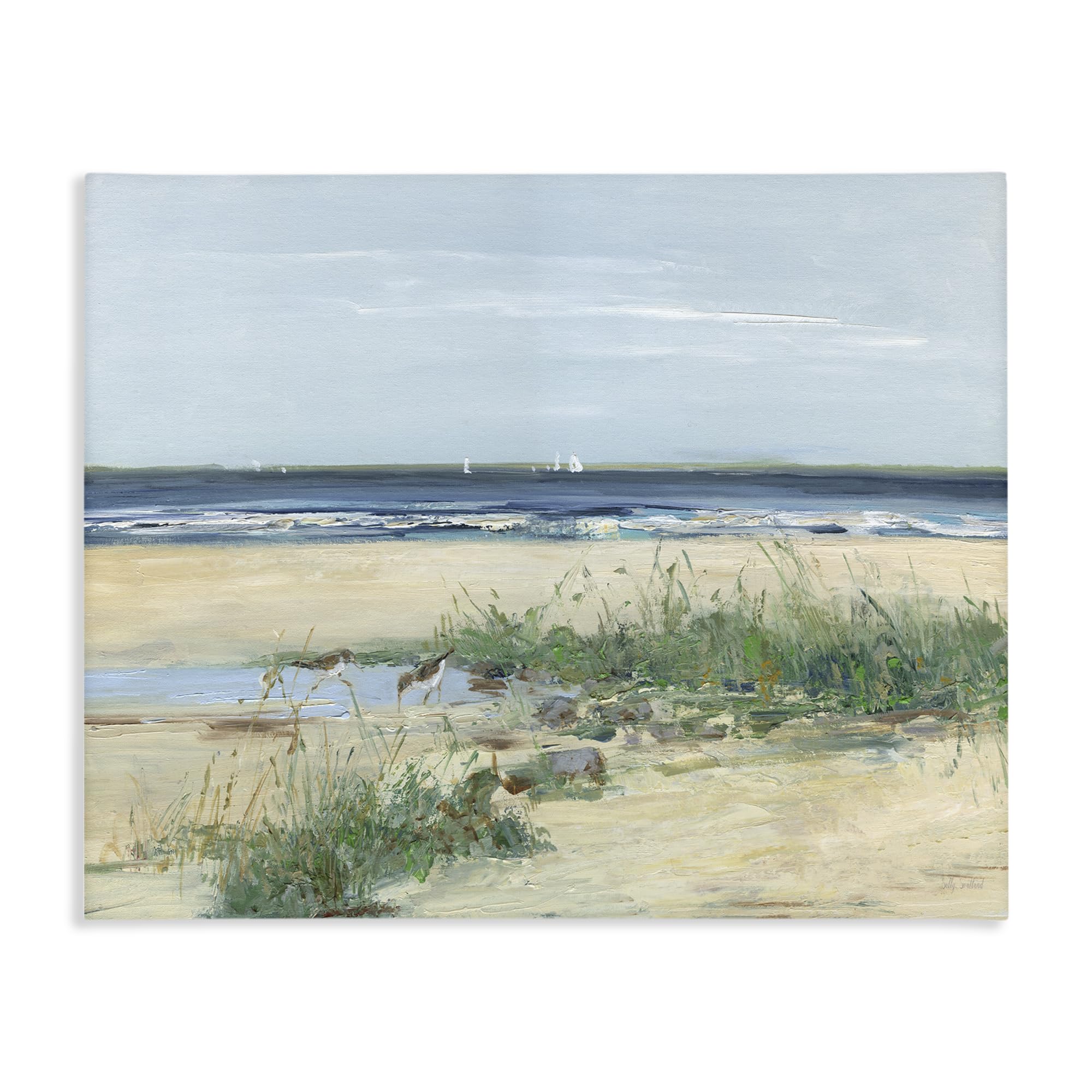 Stupell Industries Coastal Sandpiper Shoreline Wall Art for Dining Room, Serene Marsh Bird Decor, 24 x 30 Inch Gallery Wrapped Canvas Wall Art, by Sally Swatland, Made in USA Gift