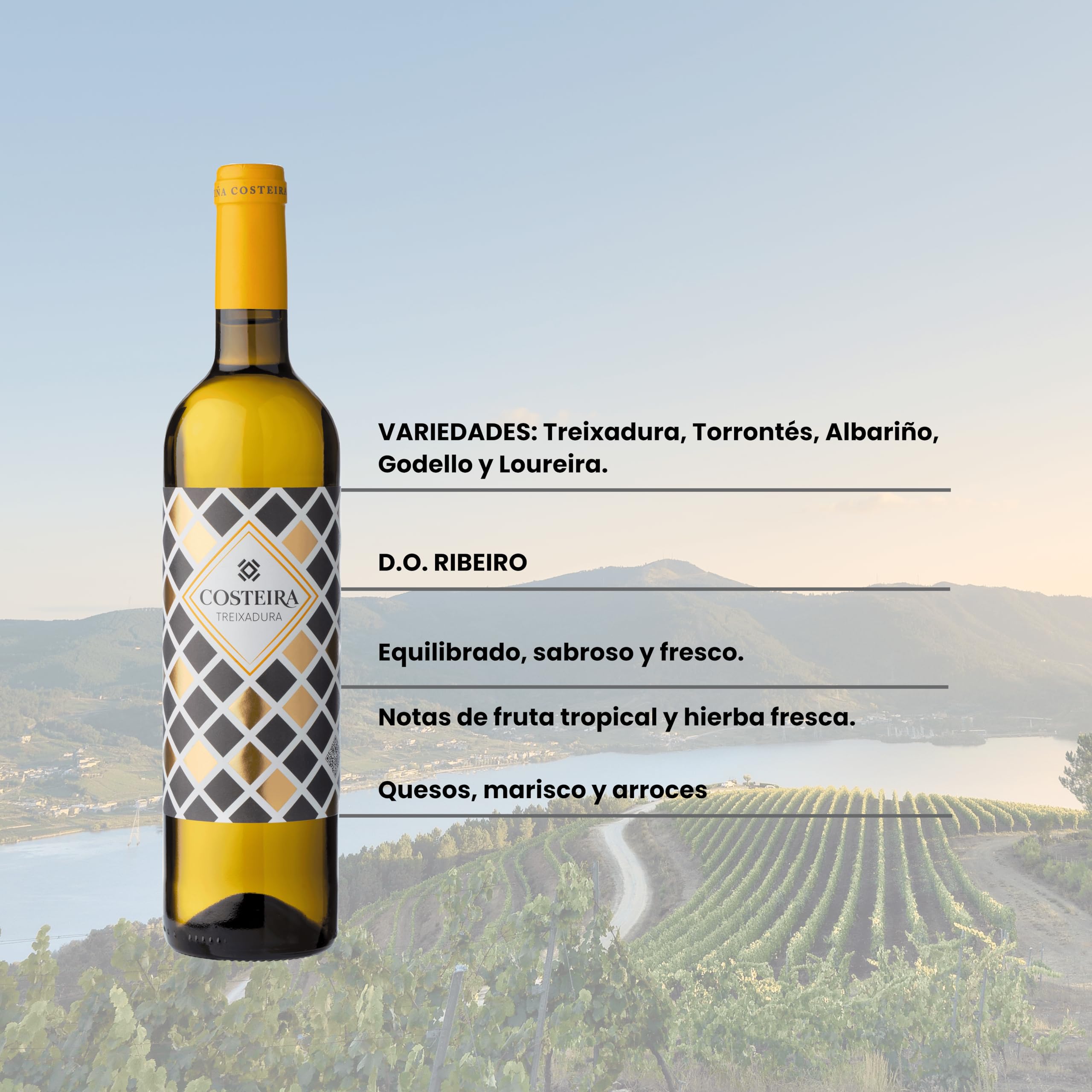 Costeira Treixadura - Vino Blanco D.O. Ribeiro - Caja de 6 Botellas de 75 cl - Vino Gallego
