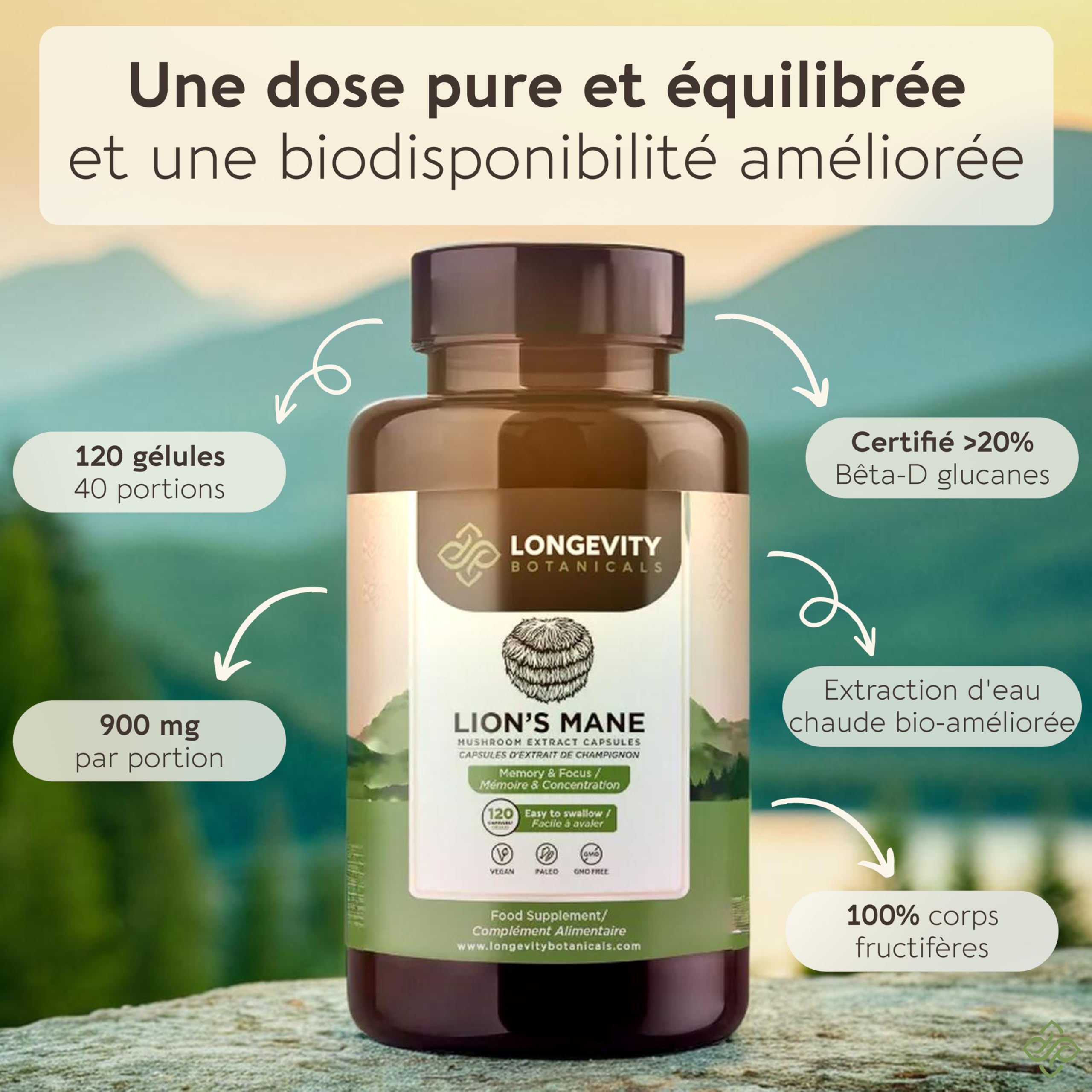 Gélules Crinière de Lion (Lion’s Mane) x120 | Extrait Puissant 8:1 de Champignon Corps Fructifère Pur | 20% Bêta-D Glucanes | Équivalent Brut 7200mg par Portion | Soutien Mémoire Intestin & Cerveau