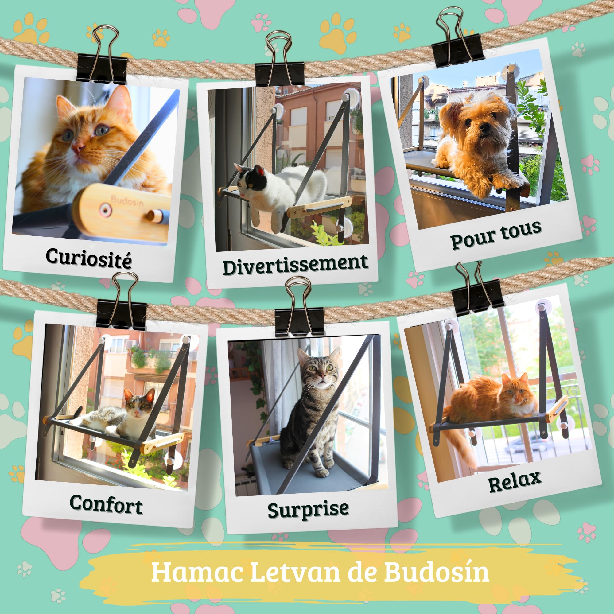 Hamac Chat fenêtre en Bambou Massif – 5 ventouses 3.0 Ultra résistantes – Hamac pour Chat avec Tissu Oxford Respirant – Installation Facile (Manuel Inclus) – Hamac Letvan de Budosín