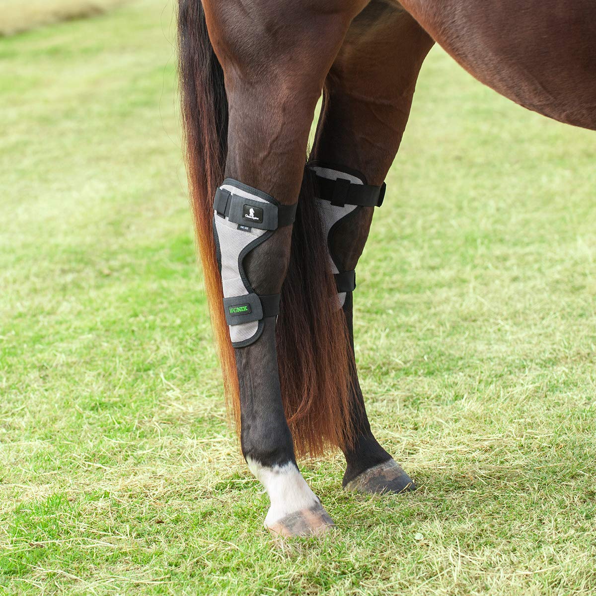 Classic Equine Magntx Hock Wrap 