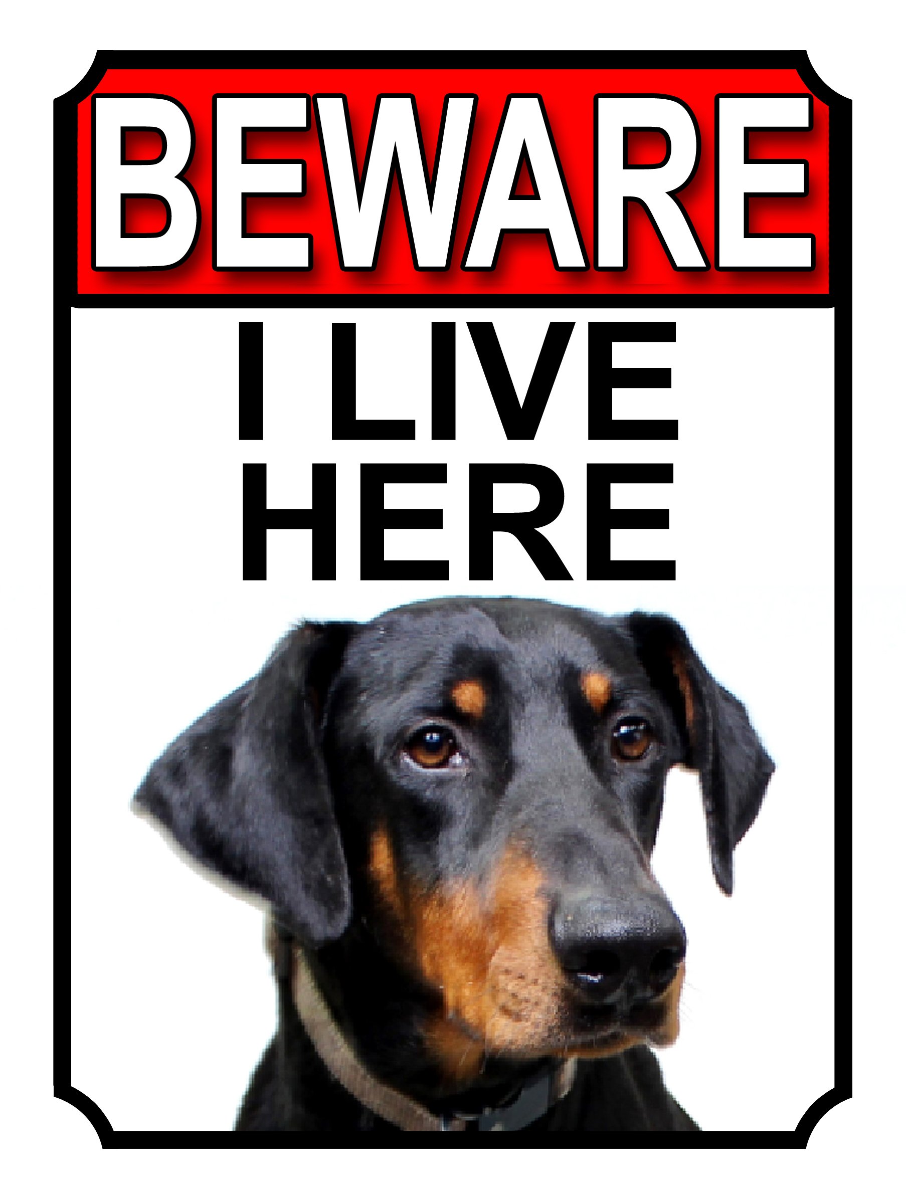 Shawprint BEWARE I LIVE HERE METAL GATE SIGN DOBERMAN PINSCHER 200MM X 10MM (1059H1)-image-13