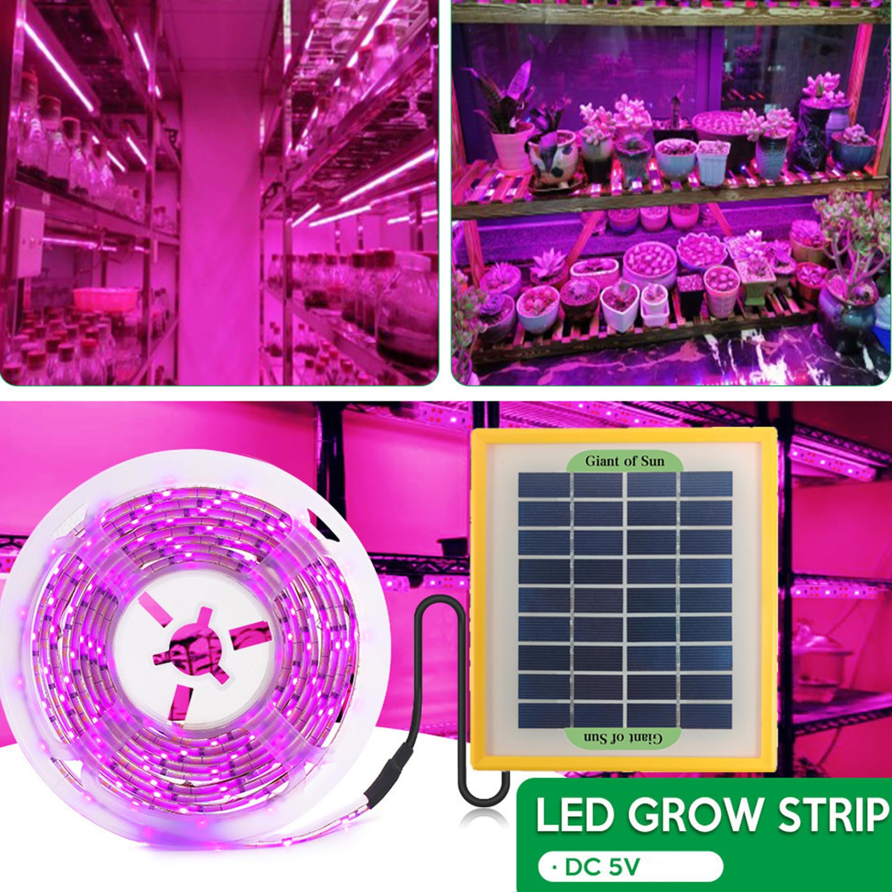 Lampes De Culture Pour Plantes IntéRieur à éNergie Bande Lumineuse 5 M Spectre Complet Lampes De Culture Solaires Pour Serre Dissipation Rapide De La Chaleur Lampe Chauffante
