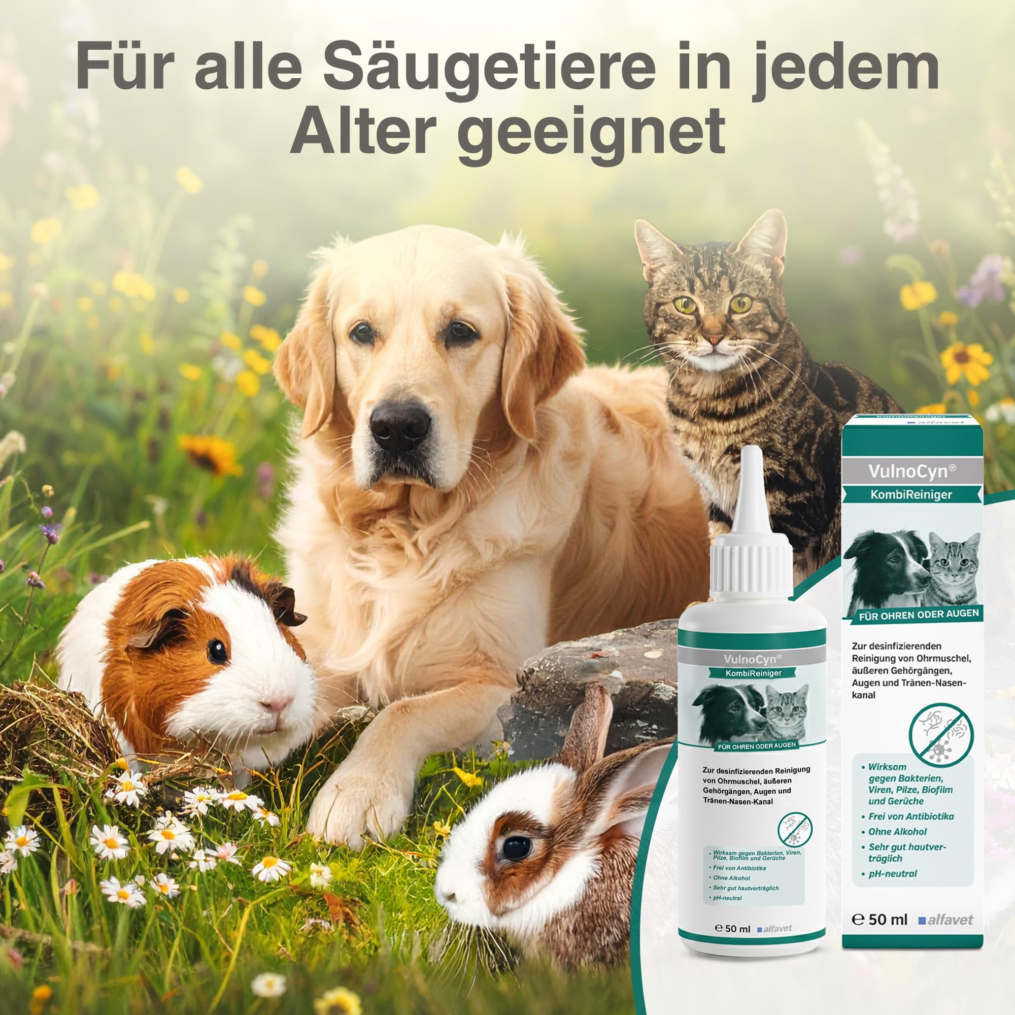alfavet VulnoCyn KombiReiniger 50 ml – Augen- & Ohrreiniger für Katzen, Hunde & Kleintiere – Antiseptikum zur Ohren- & Augenpflege – Desinfizierende Reinigung, pH-neutral, ohne Antibiotika & Alkohol