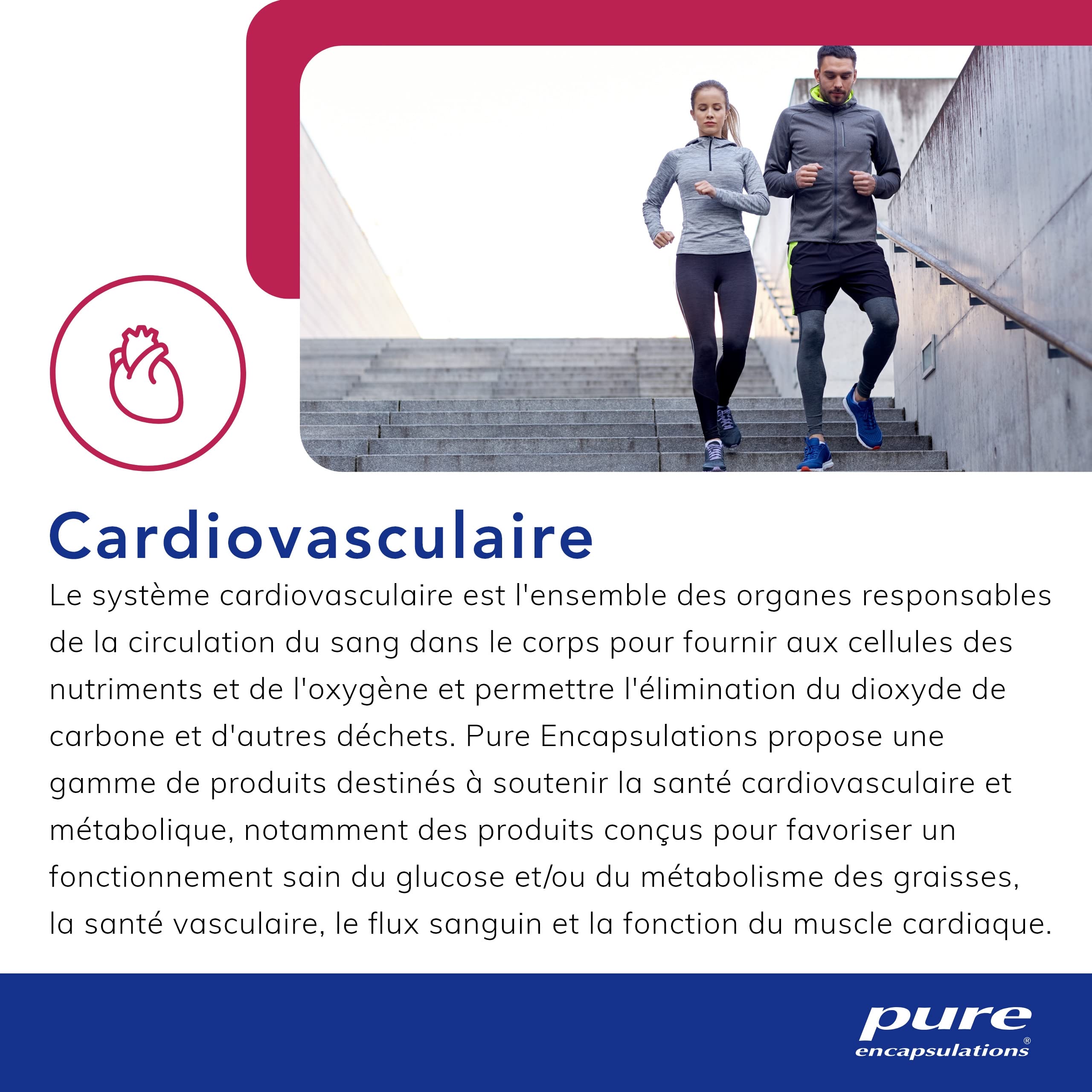 Pure Encapsulations - Collagen JS - Pour l'Absorption Efficace du Collagene - 60 Gélules