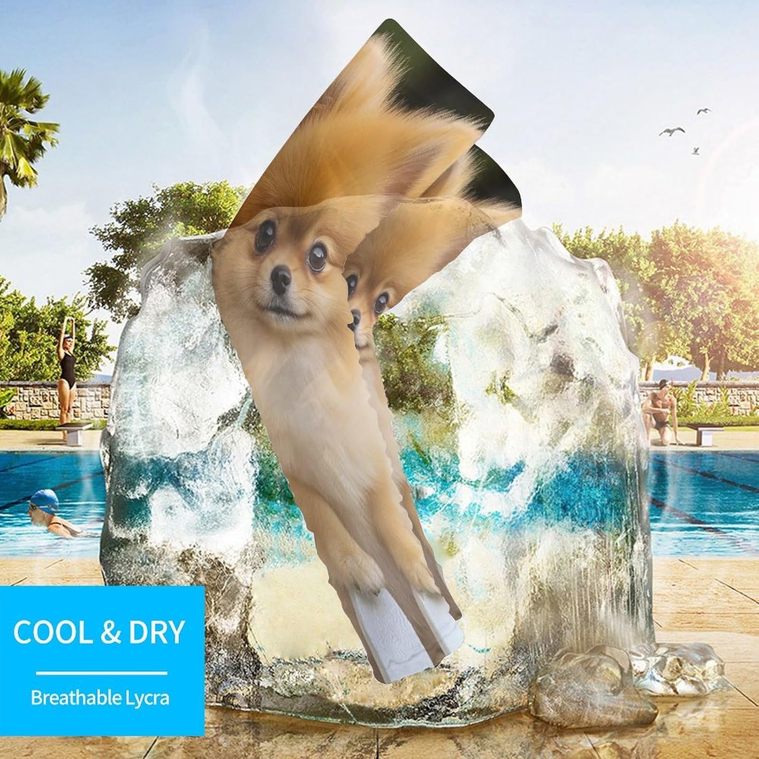 Funny Pomeranian Dog Arm Sleeves Sun Protection Sleeves Sports Cooling Arm Compression Sleeve for Men Women