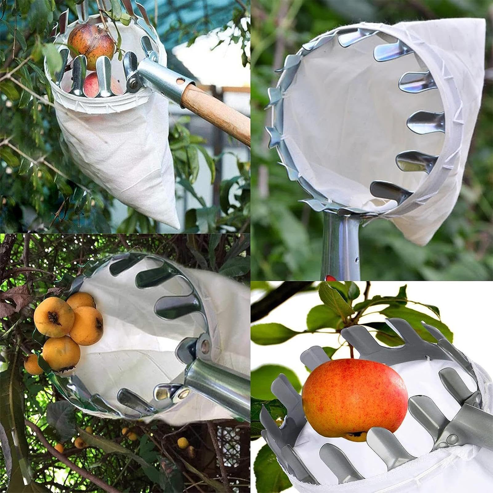 Outil de cueillette de fruits – Cueille-fruits robuste, cueille