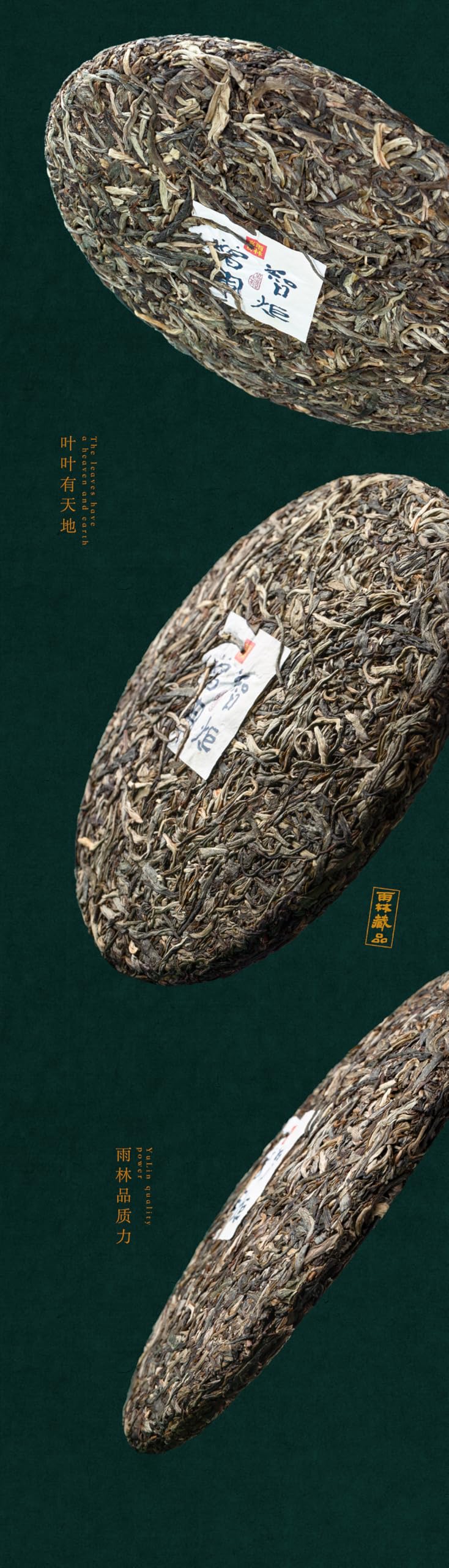 2023 Zhi Ju Zeng Hui Uralter Baum roher Pu-Erh-Tee Sheng Pu-Erh Cake 357 g
