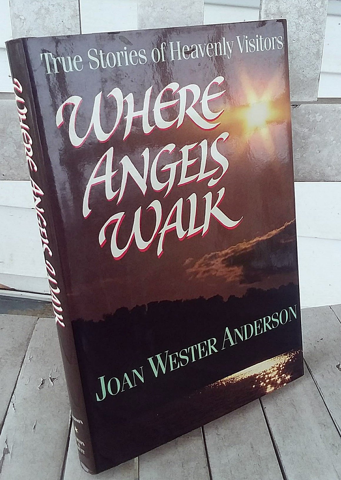 Where Angels Walk True Stories of Heavenly Visitors Anderson, Joan