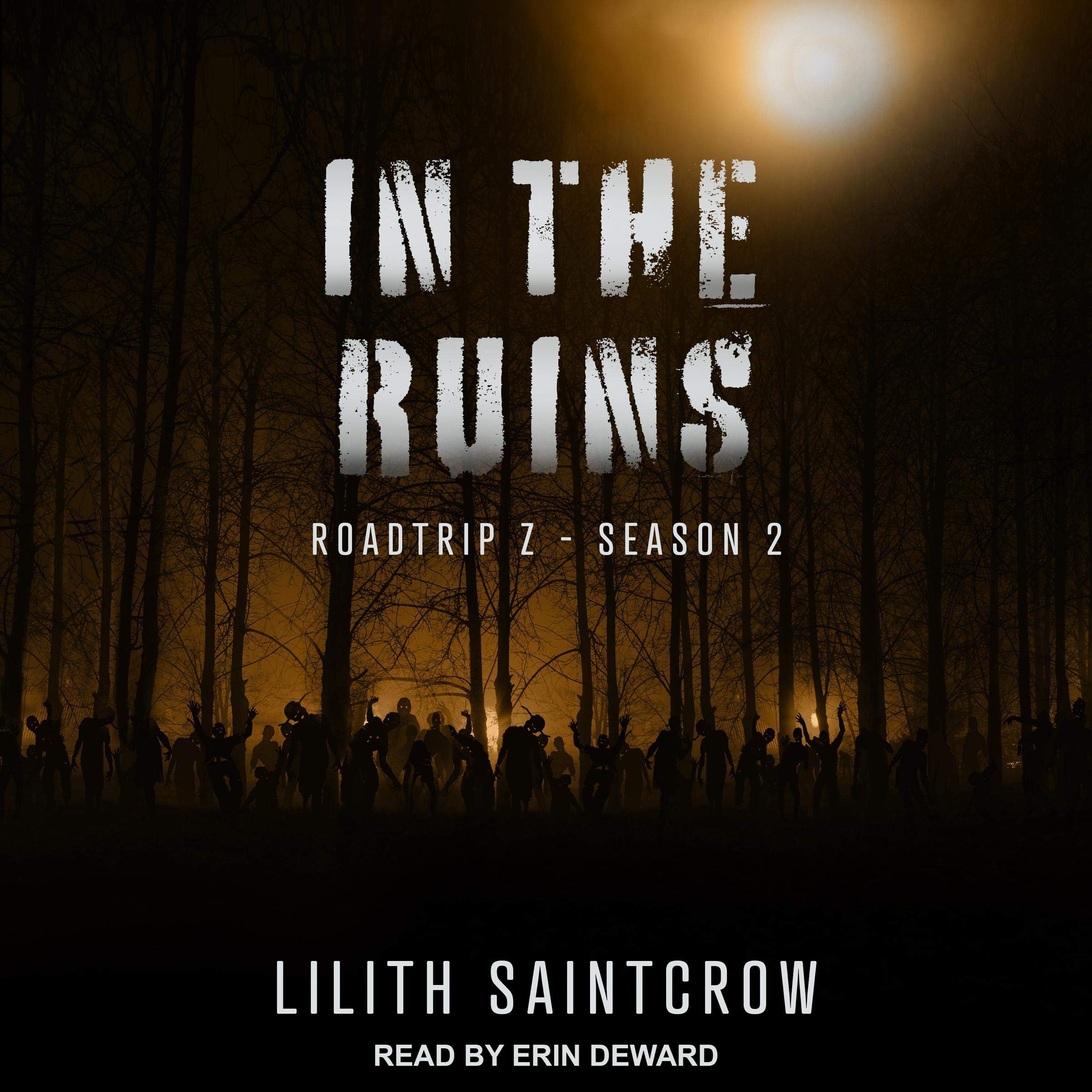 Cover art for In The Ruins: Roadtrip Z, Book 2