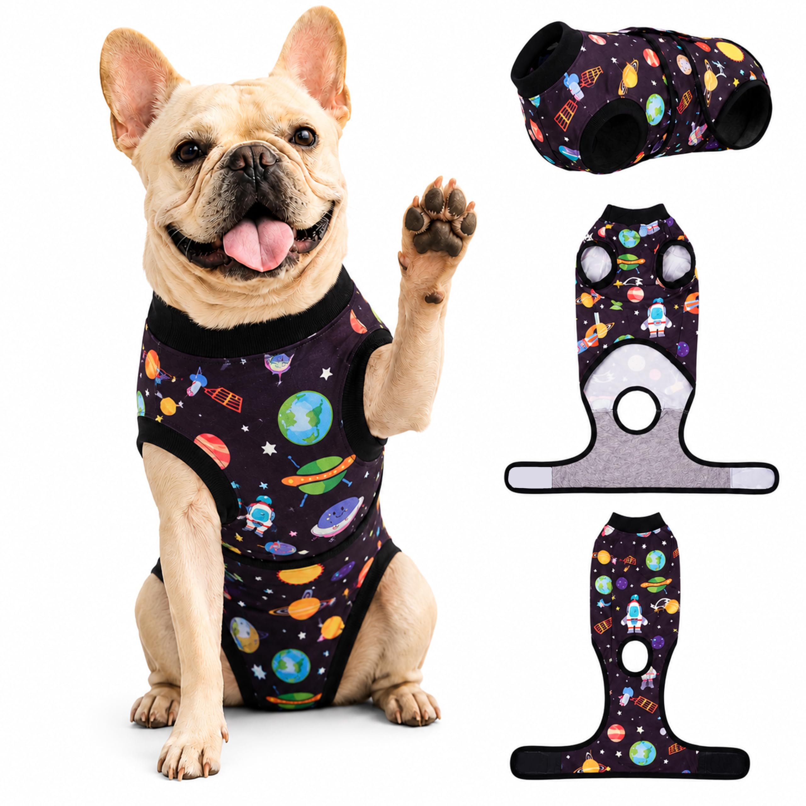 Combinaison de convalescence PetWarm pour chien mâle après chirurgie abdominale