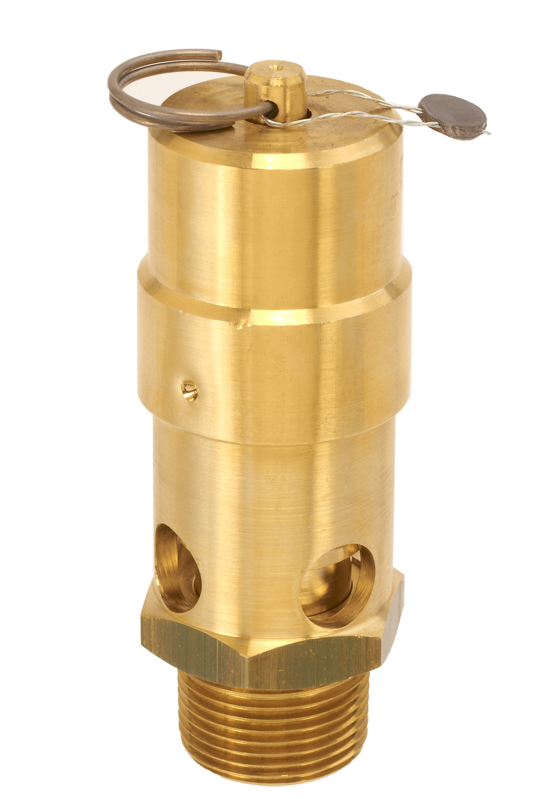 Control Devices SW10-0A175 SW Series Brass Soft Seat ASME Safety Valve, 175 psi Set Pressure, 1 Male NPT
