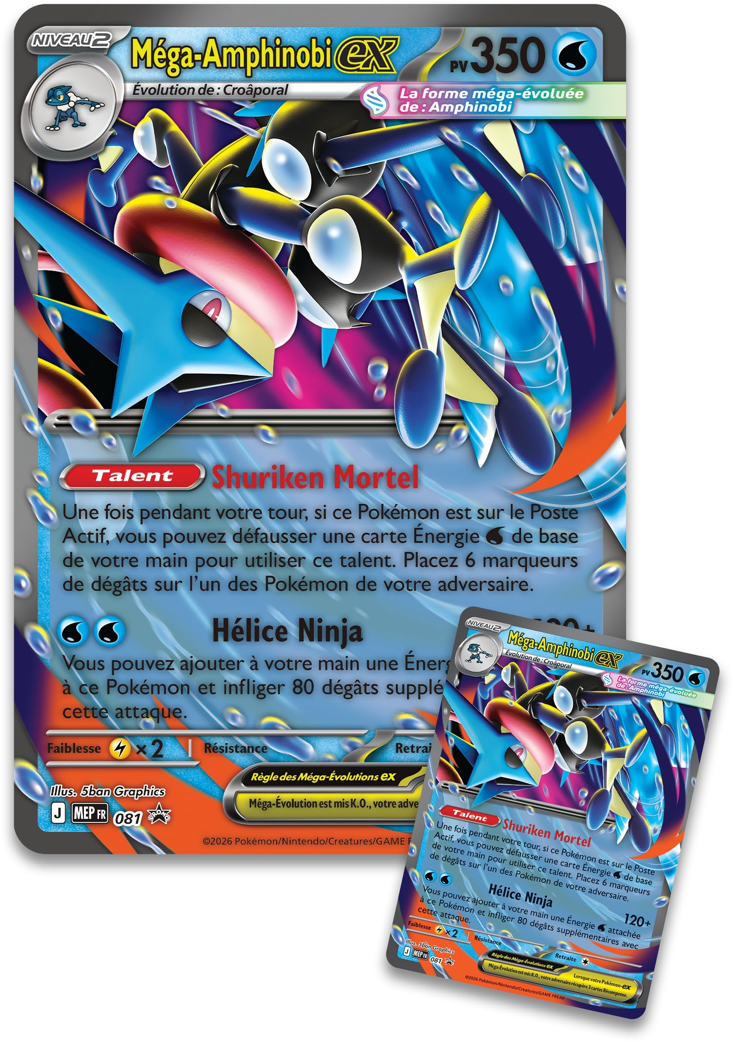 Pokémon: Colección Premium Mega Amphinobi-ex (1 Tarjeta Promocional Brillante, 1 Tarjeta Promocional Grande lenticular y 8 Refuerzos) del JCC Pokémon