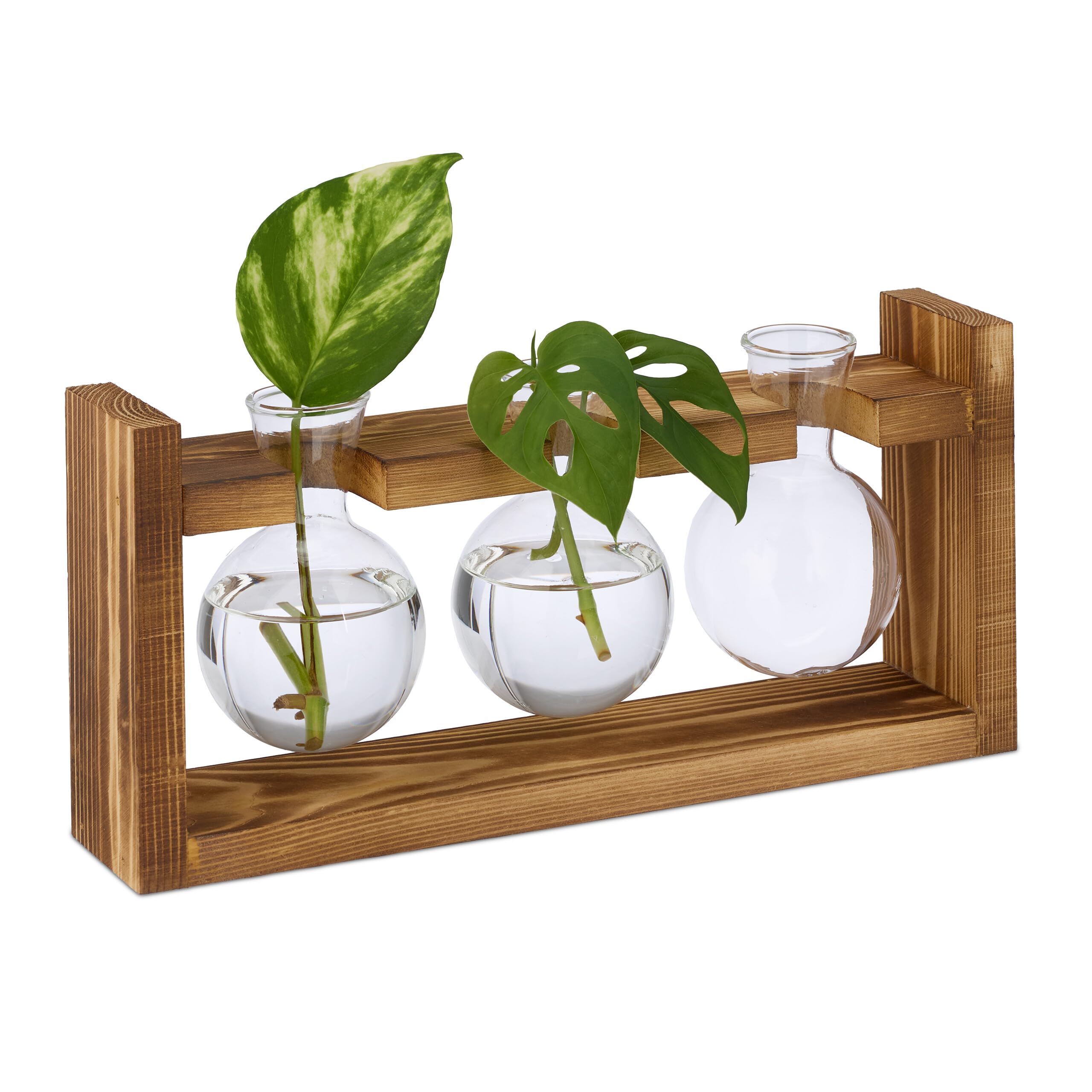 Relaxdays Small Vases, 3 Round Glass Vases, Flowers/Plants, Hydroponics, 13x28x6.5cm, Transparent/Natural