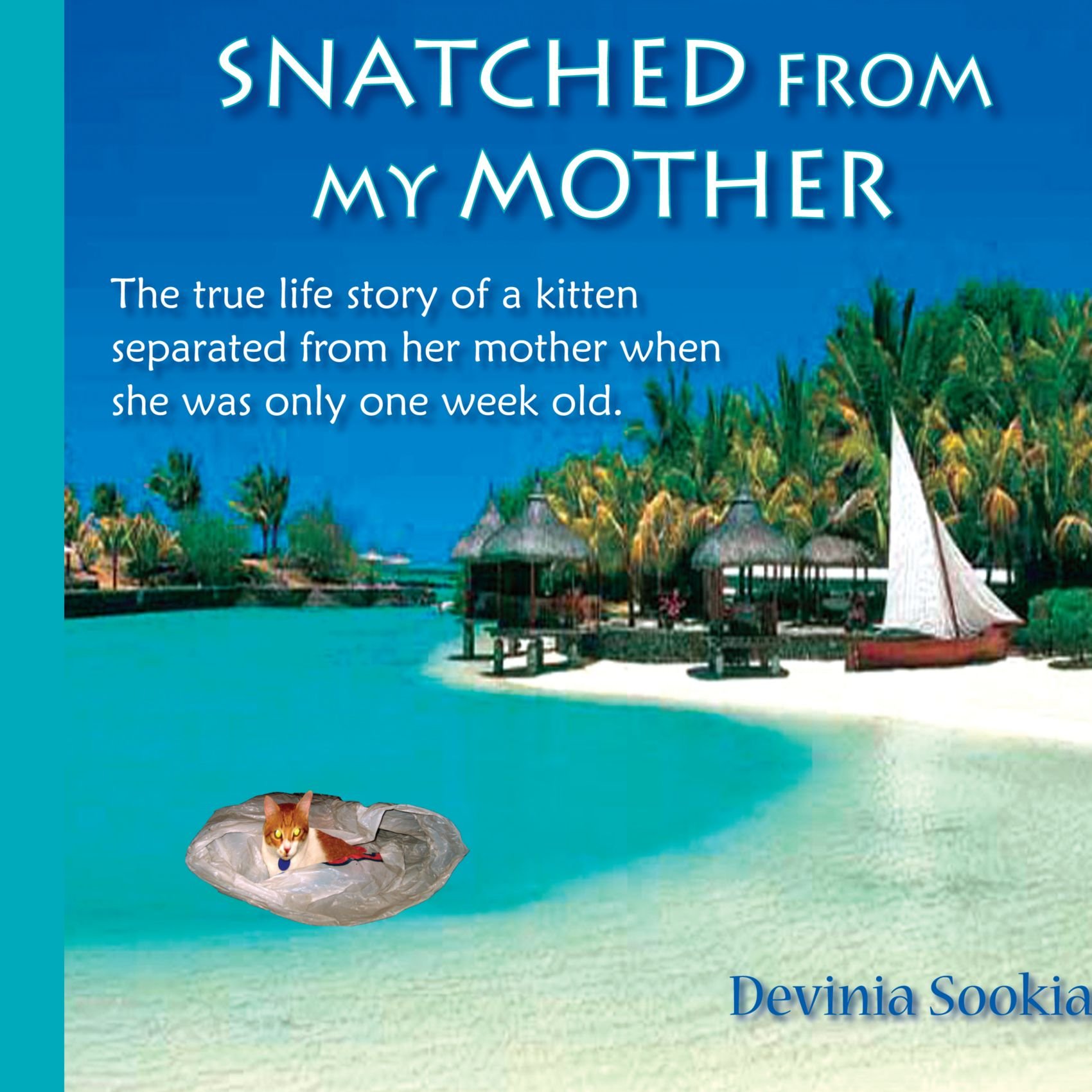 Snatched From My Mother: The true life story of a kitten separated from her mother when she was only one week old .