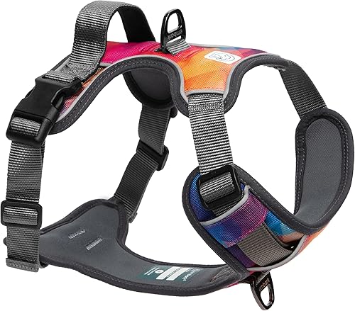 Embark Urban - Arnés para perro sin tirones para perros pequeños, medianos y grandes. 2 clips para correa, parte delantera y trasera con asa de