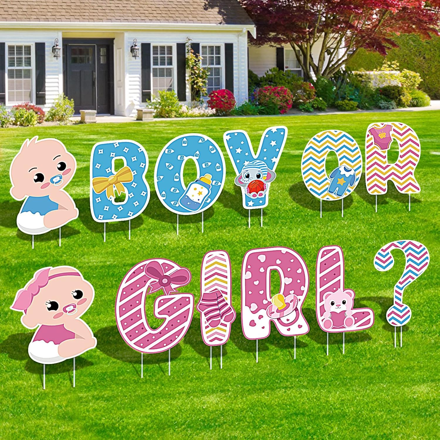 Buy Gender Reveal Yard Sign BLOOMWIN 12 Pieces Gender Reveal Party Signs for Outdoor Girl or