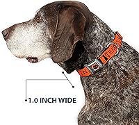 Vista 6 de Buckle-Down Collar de perro Hebilla de cinturón de seguridad Hocus Pocus Thackery Binx Cat Silhouette Naranja Negro, 1 pulgada de ancho - Se adapta