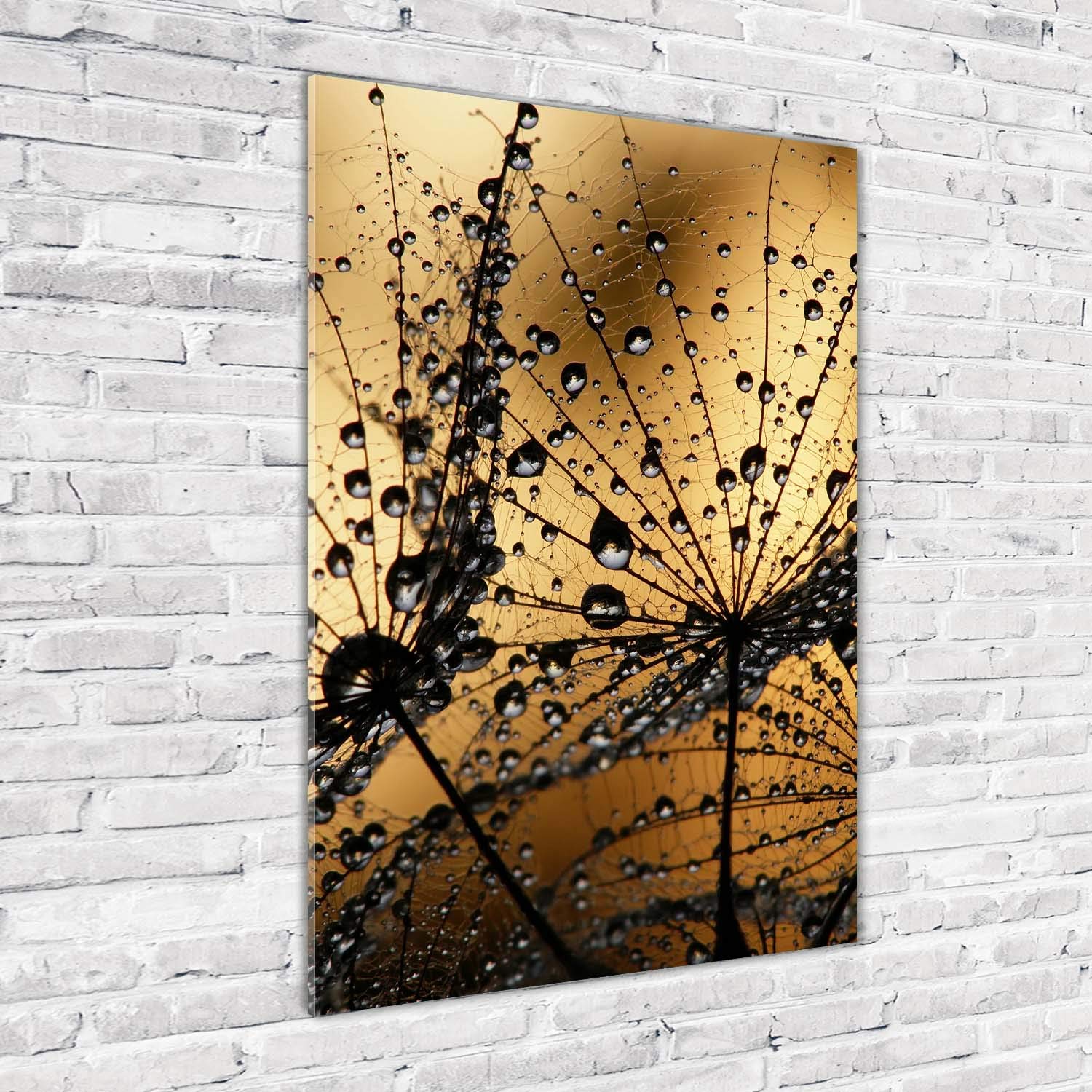 Tulup Impresión en vidrio - 70x100cm - Cuadro sobre Vidrio - Pinturas en Vidrio - Cuadro en Vidrio - Impresiones sobre Vidrio - Cuadro de Cristal - Flores Y Plantas - Naranja - Semillas De Diente De León