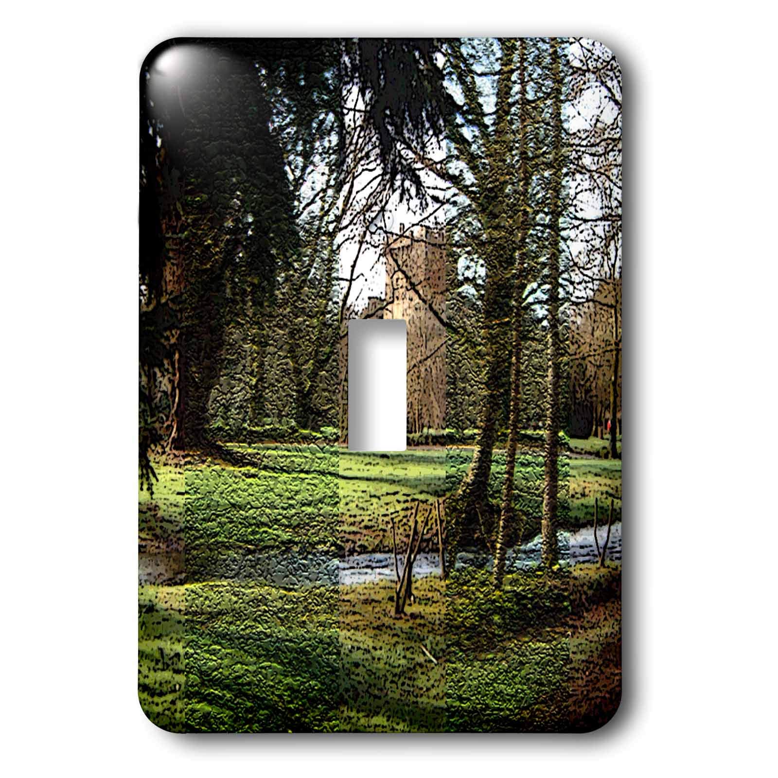 Interrupteur à baïonnette Blarney Castle 3dRose LSP_44117_1 déco Irlande