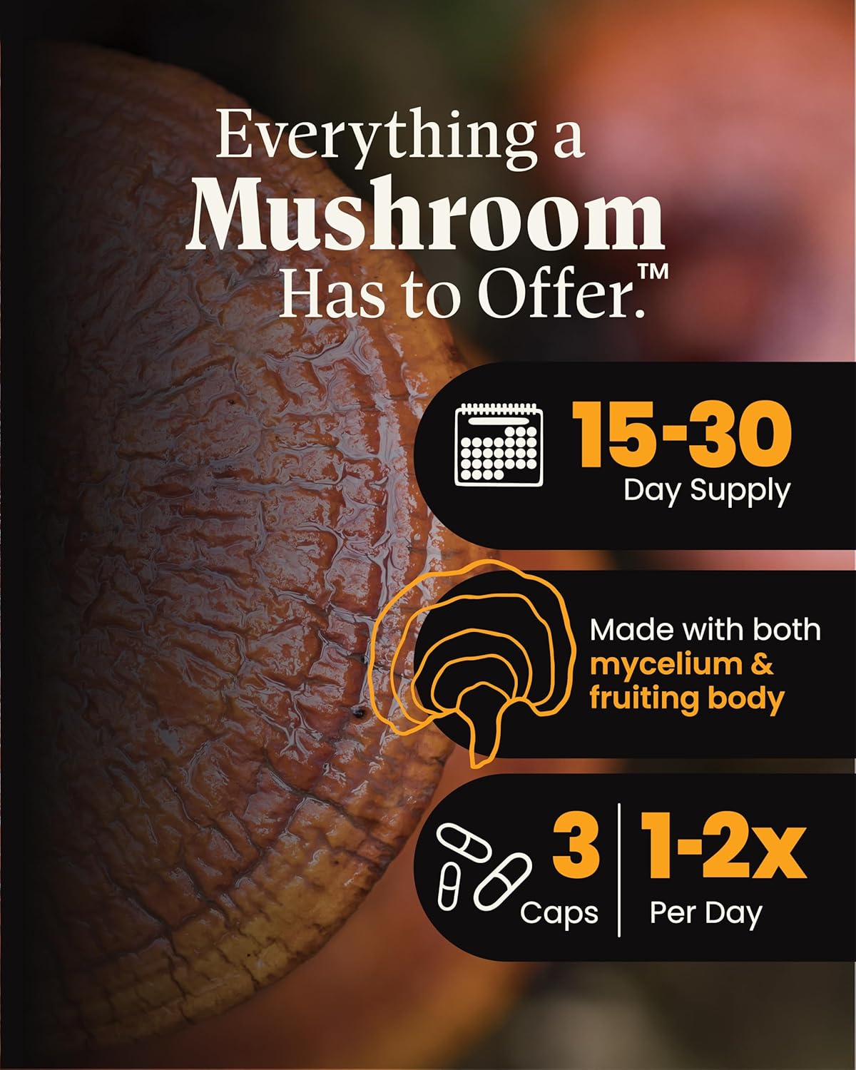 Mushroom Wellness Reishi Mushroom Capsules, with Organic Red Reishi For Immune Support, Traditional Nervous System Support & Cardiovascular Health, 90 Vegan Capsules* - Image 3