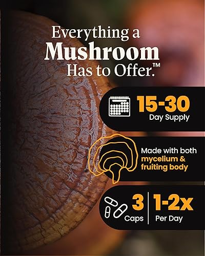 Miniatura 3 de Cápsulas orgánicas de hongos Reishi rojos, suplemento en polvo de hongos Reishi, apoyo inmunológico, apoyo tradicional del sistema nervioso y salud