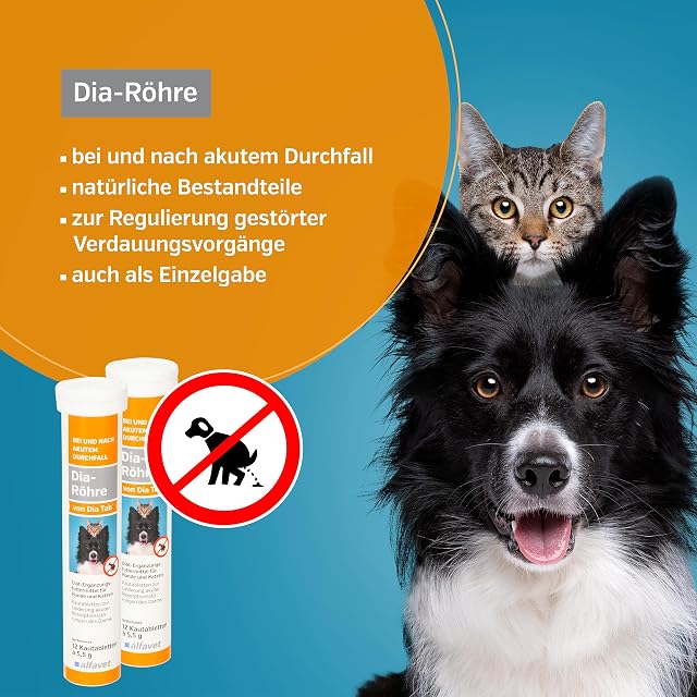 alfavet Tubo Dia Tab 12 x 5,5 g - Complemento alimenticio dietético para perros y gatos