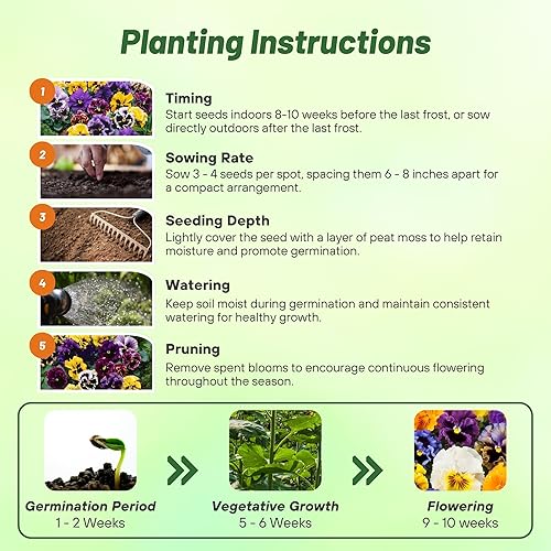 Miniatura 4 de Outsidepride Frizzle Sizzle Mix Viola - Semillas de pensamiento para plantar, 100 unidades. Flores perennes, resistentes al frío y aptas