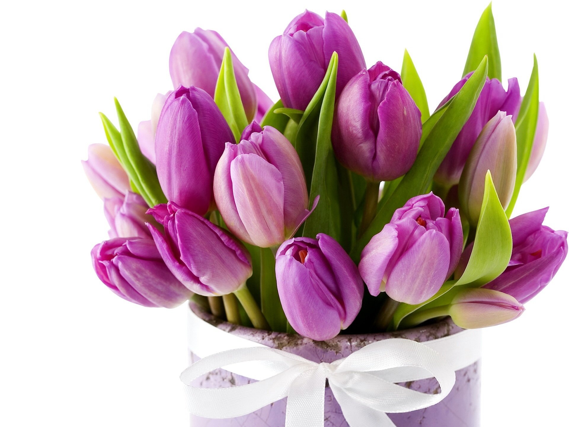 The Gift Box Beautiful bunch of fresh Tulips in Pink (seasonal) or Pink Lilies - Perfect for any occasion