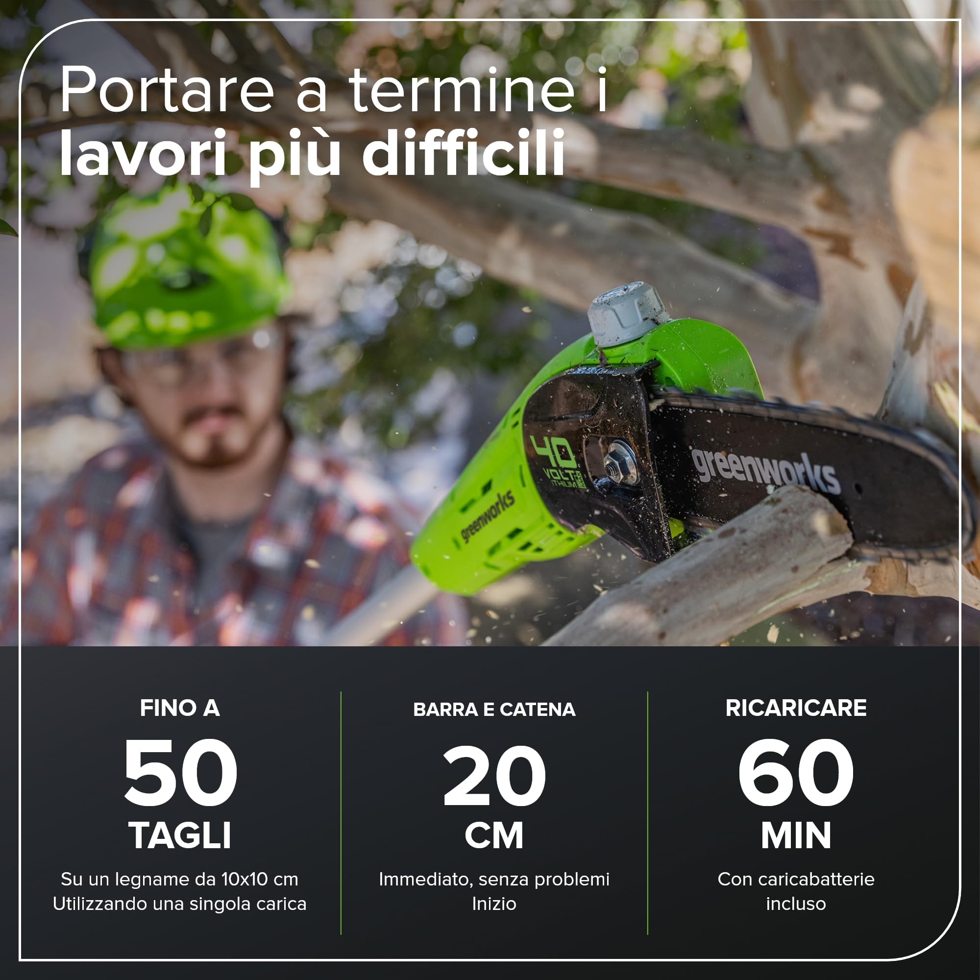 Greenworks G40PSFK2 Sega ad Asta a Batteria, Lunghezza Barra 8 Pollice (20cm), Velocità Catena 8m/s, 3,64kg, Auto-Lubrificante, Asta 2.58m, Batteria 40V 2Ah e Caricabatterie, Garanzia 3 Anni
