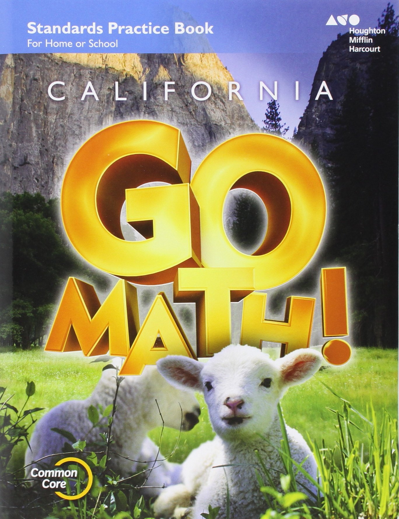 Practice Workbook Grade K (Houghton Mifflin Harcourt Go Math!)