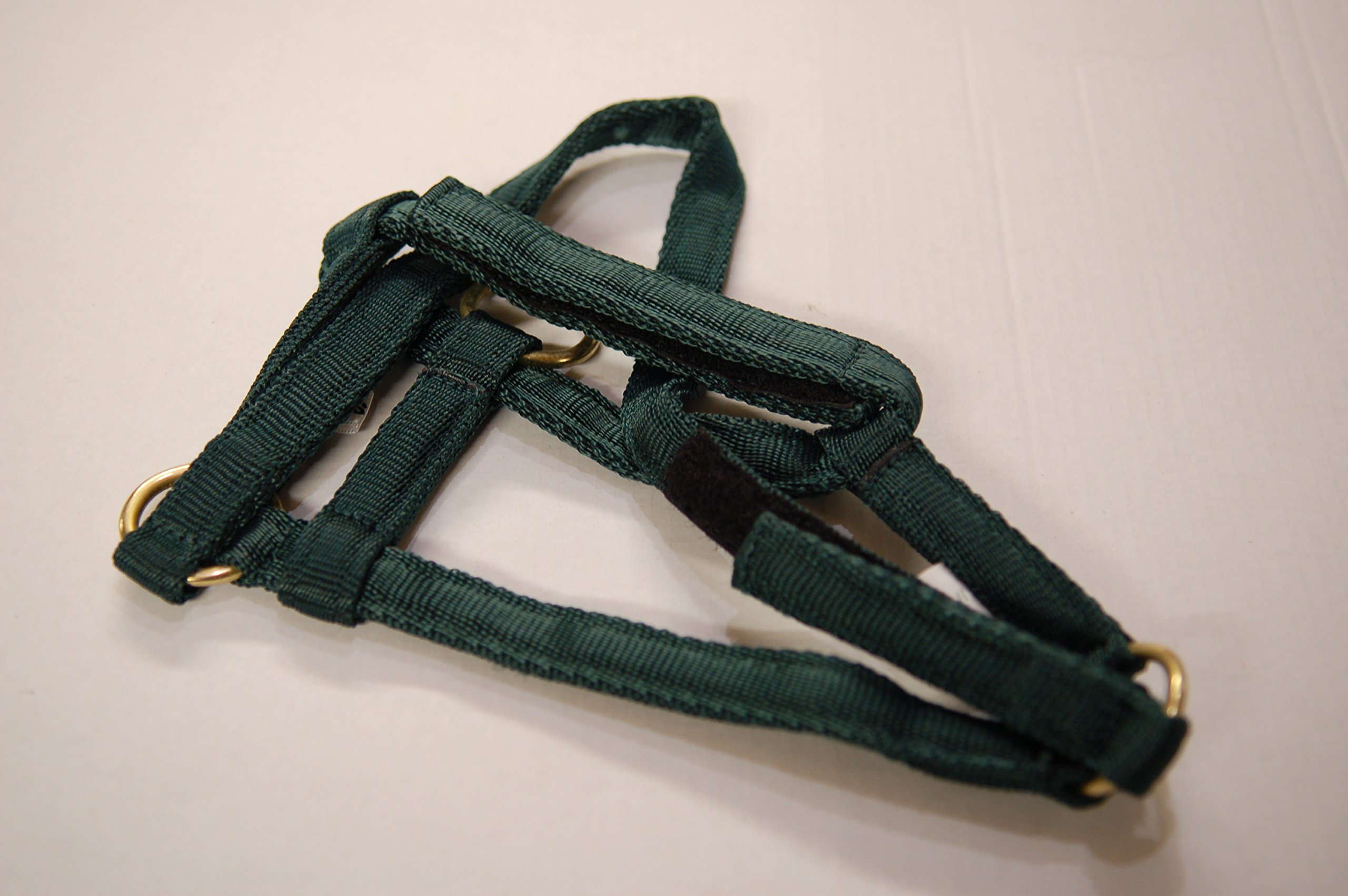 IV Horse Wee Pony Safety Turnout Headcollar (Green, Medium) — image 1