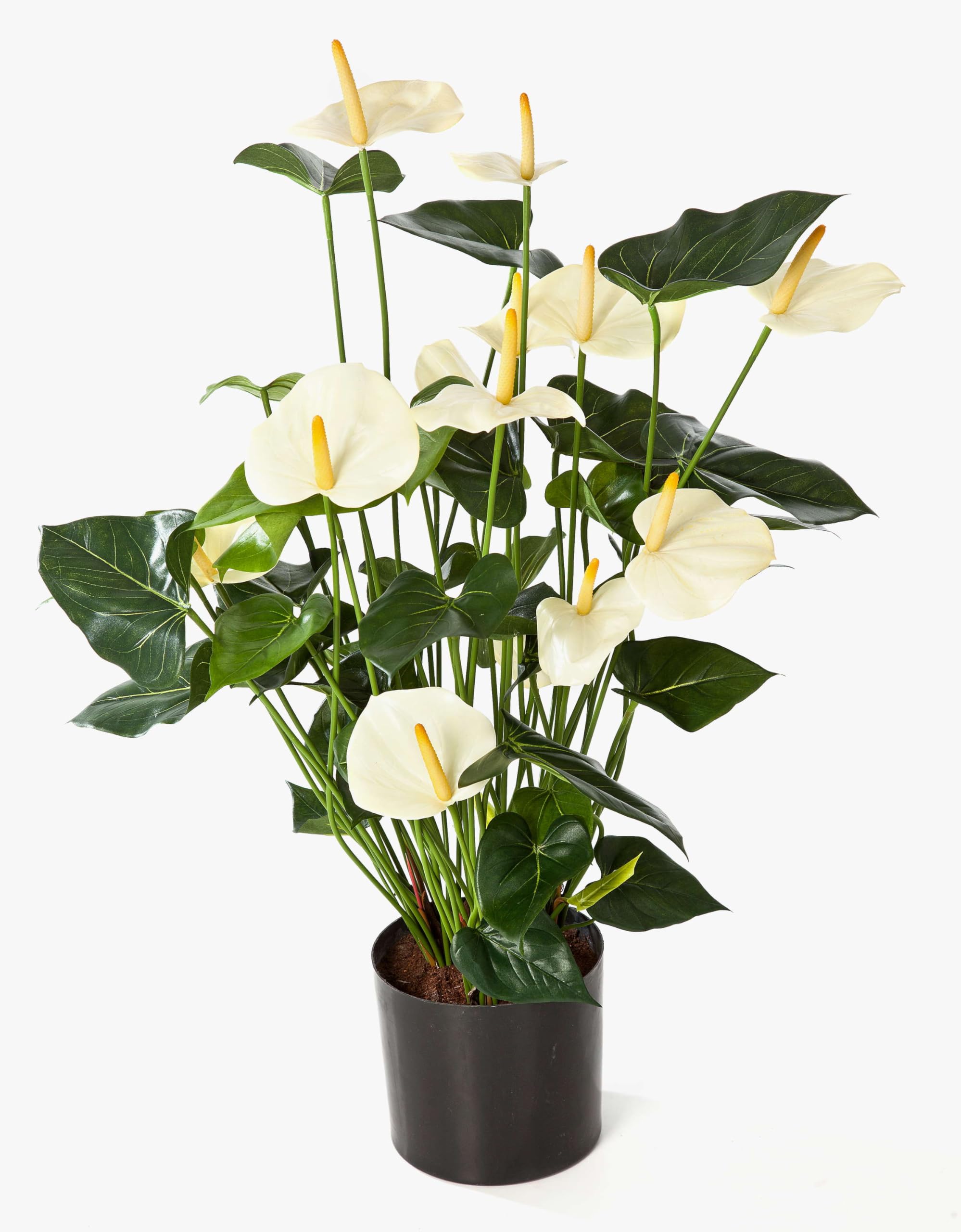 artplants.de Mata de Anthurium Artificial, Crema, Deluxe, 80cm | 44 Hojas, 13 Flores - Planta Decorativa - Flores Artificiales