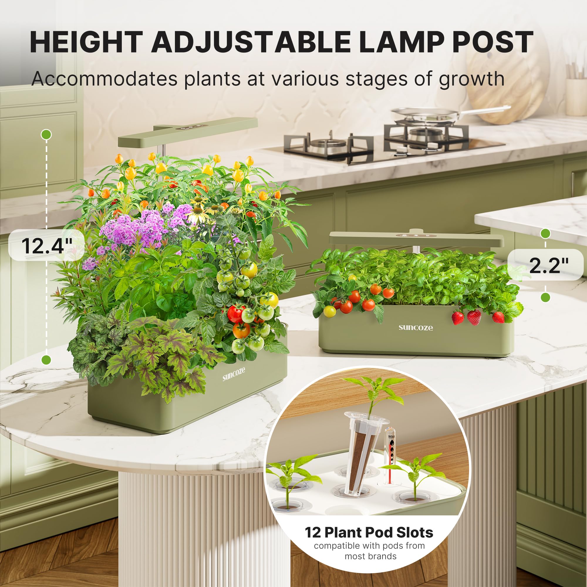 SUNCOZE Hydroponics Growing System Kit 12 Pods, 24W LED Grow Light Indoor Garden, 4L Water Tank with Quiet Pump, Adjustable Height Herb Garden Planter Indoor Kit, Gardening Gifts,: Green