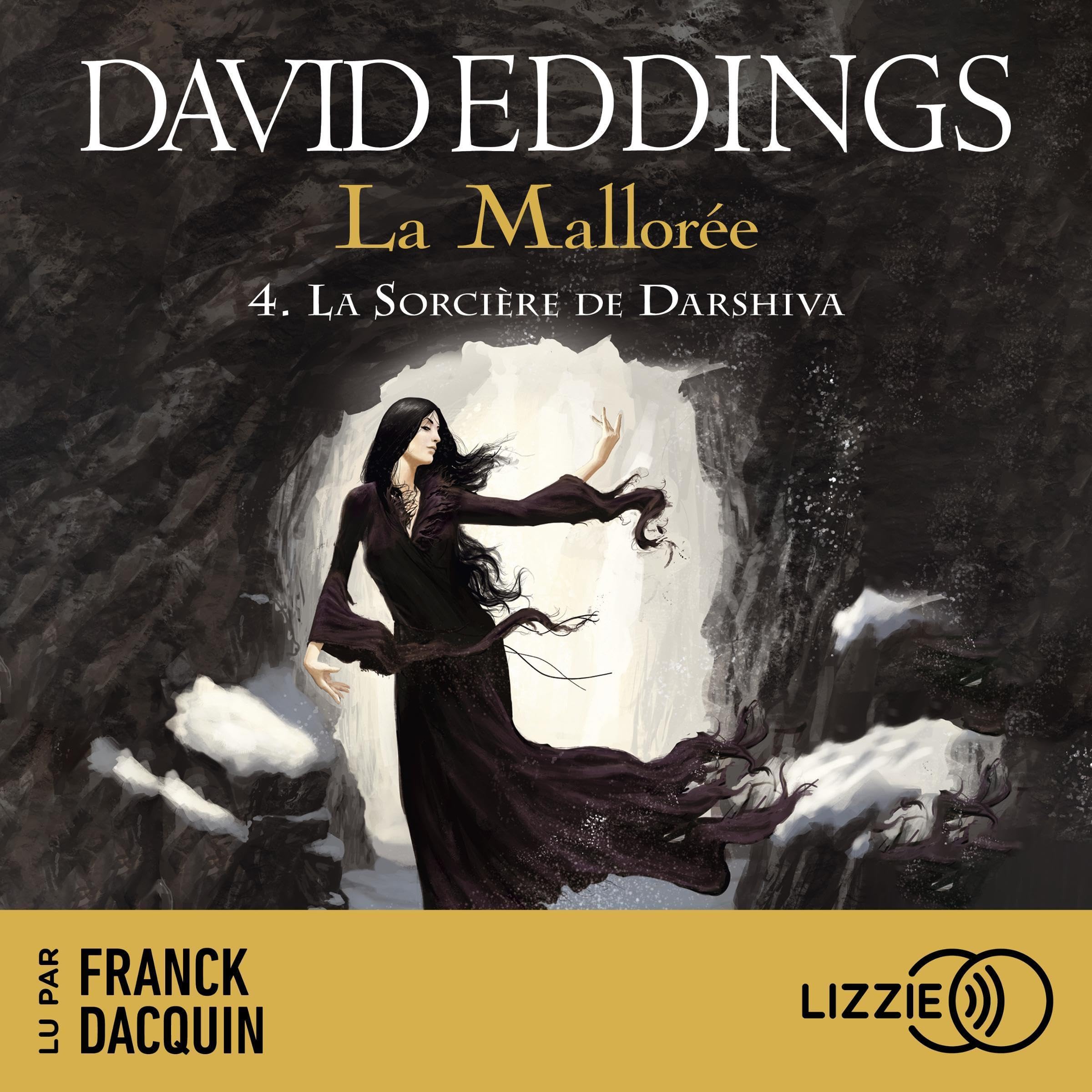 Cover art for La sorcière de Darshiva
