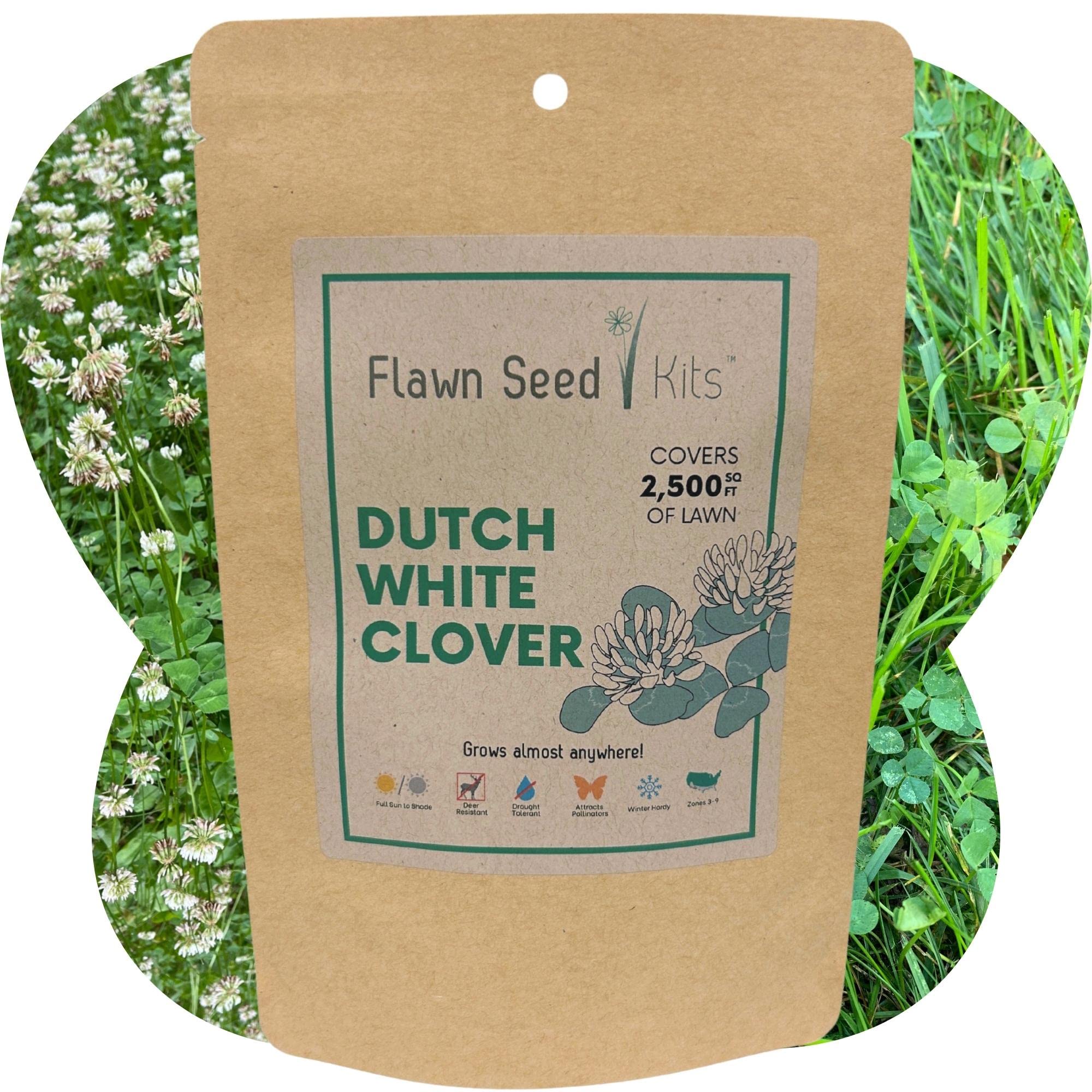 Flawn Seed Dutch White Clover Seed, Eco/Pollinator Friendly, Low Maintenance, Grass Alternative, Easy Open Compostable Kraft Pouch, Covers Up to 2,500 SqFt