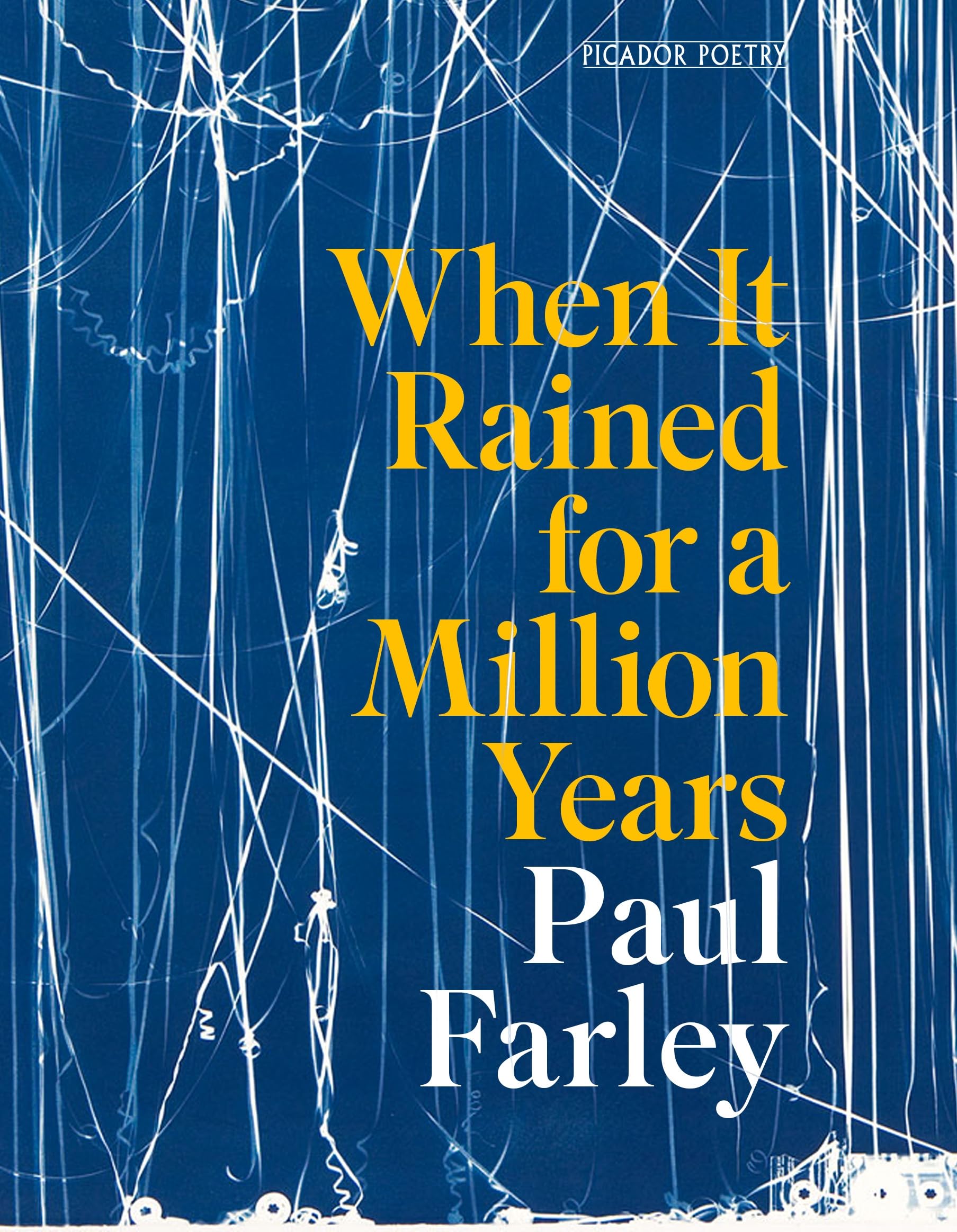 When It Rained for a Million Years: the new collection from the Forward Prize-winning poet