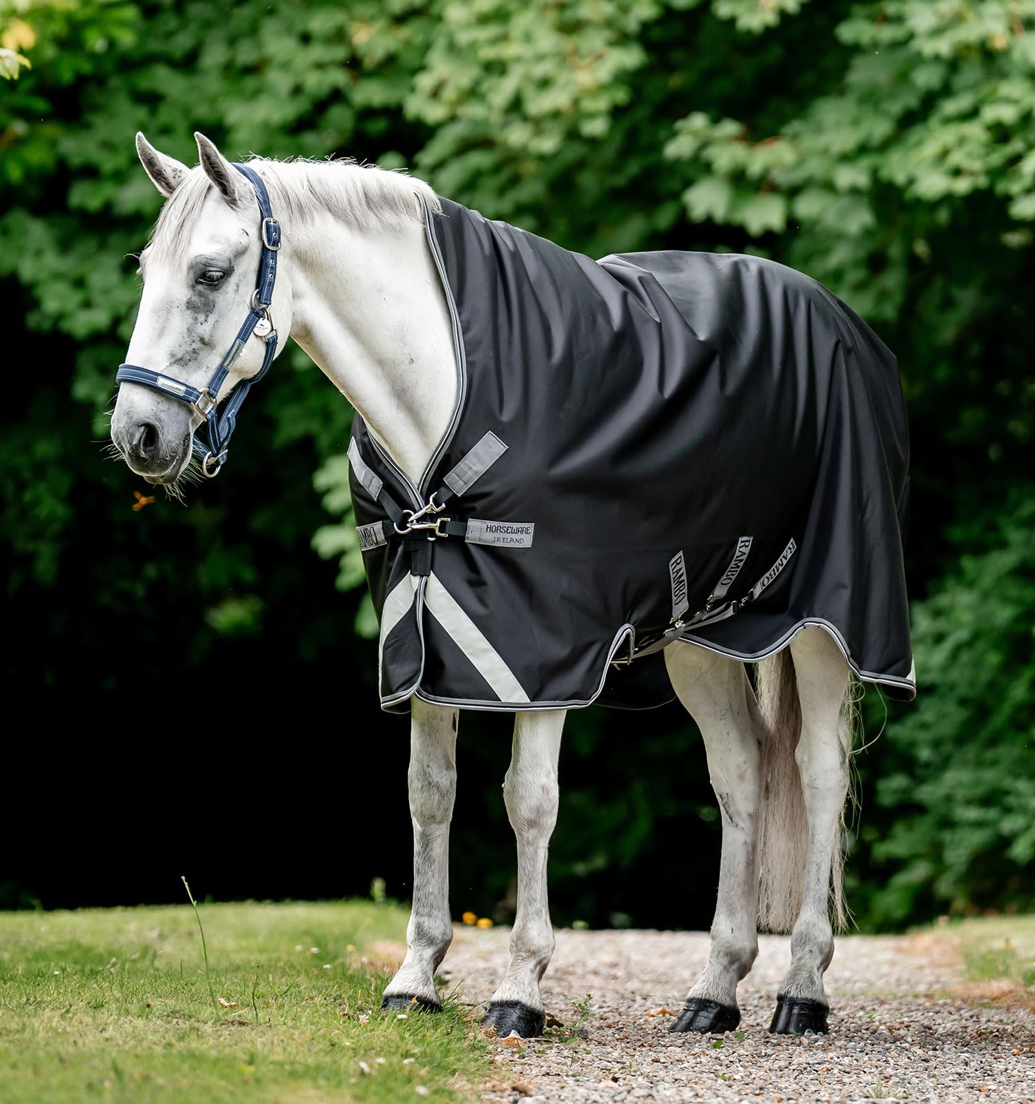 Rambo Wug Turnout 400g couverture d'extérieur imperméable et chaude