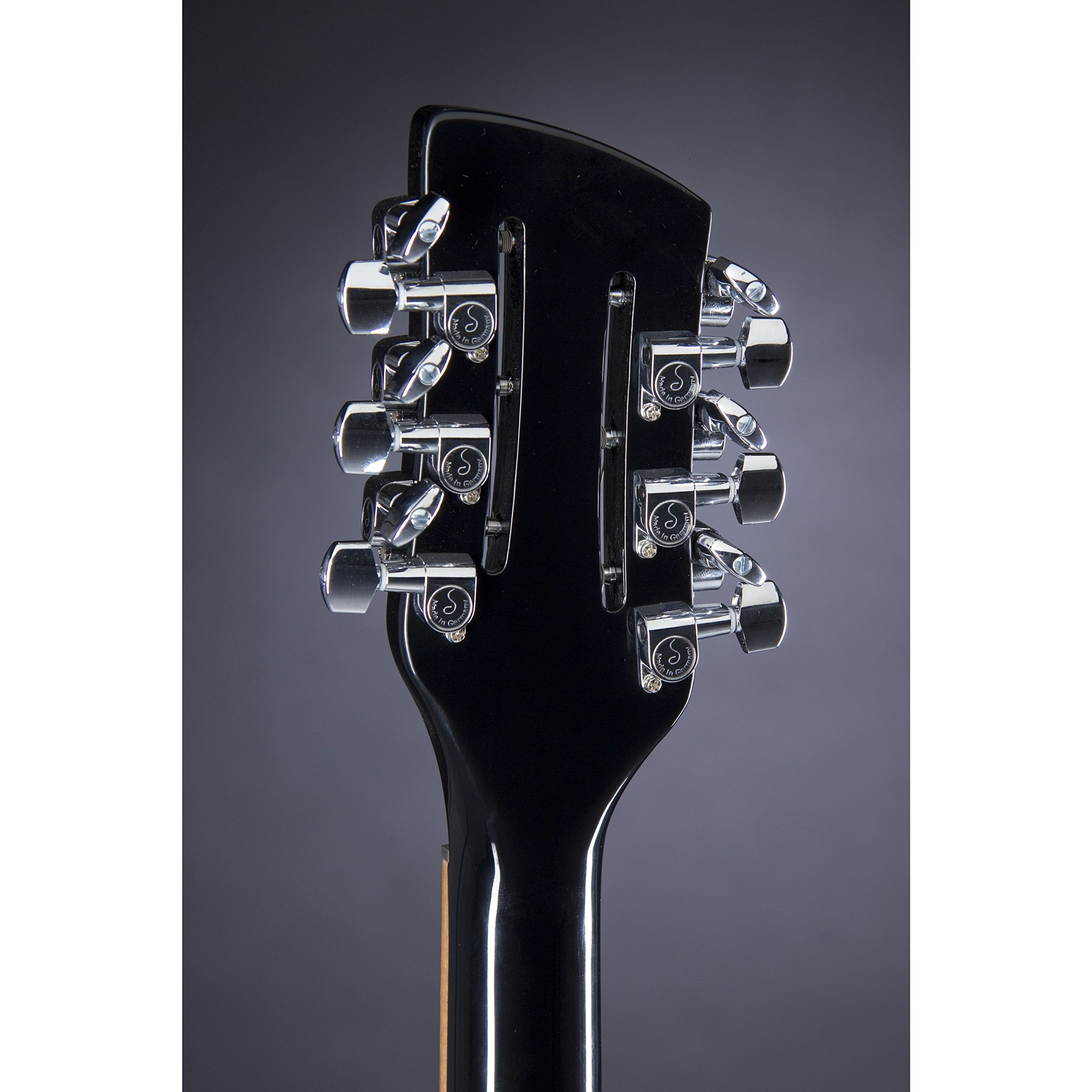 Amazon.com: Rickenbacker 330/12 Semi-hollow 12-string