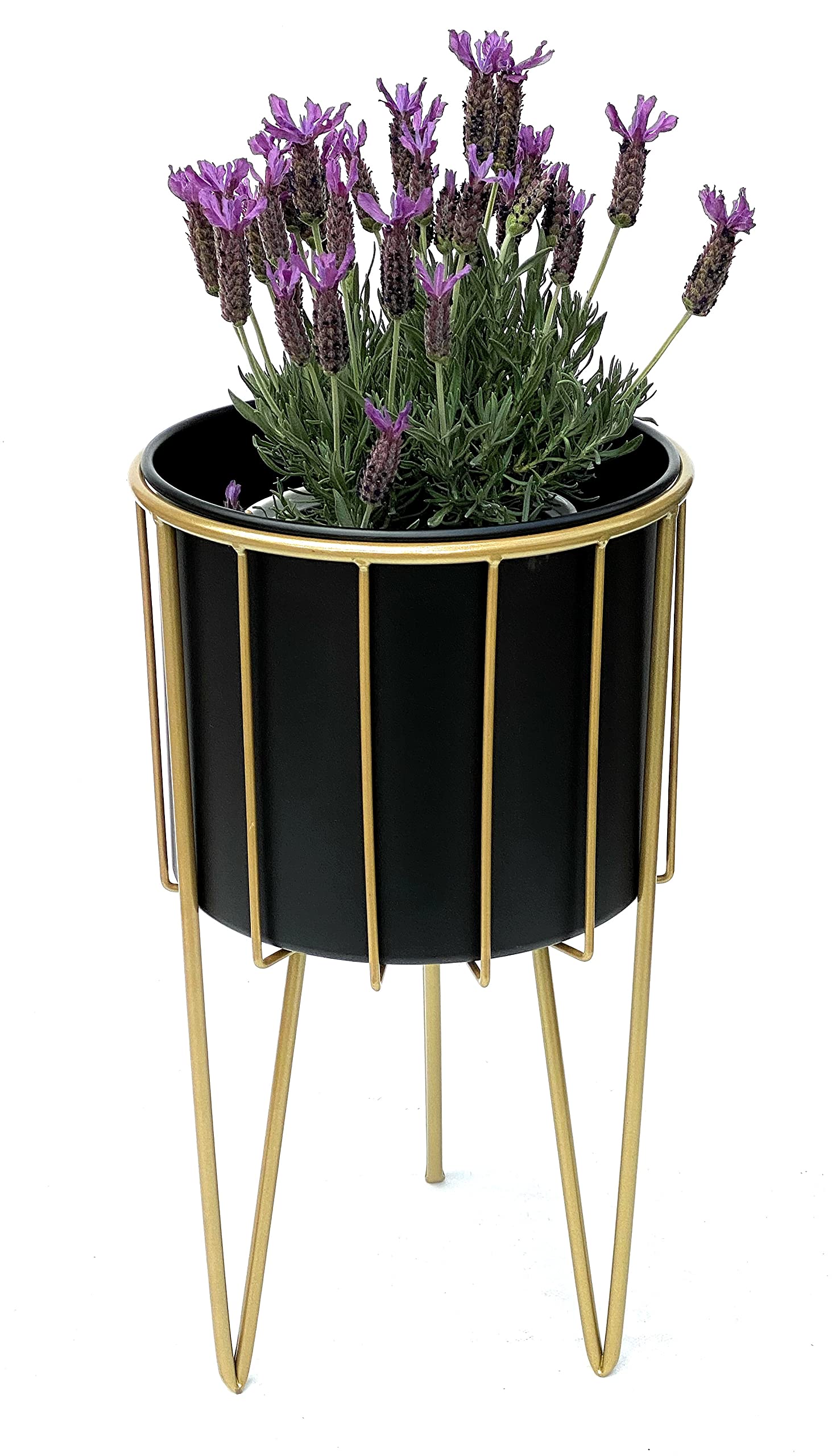 DanDiBo Sgabello Portafiori In Metallo Con Vaso – Dorato/Nero, Altezza 47 Cm, Portata 20 Kg, Per Piante E Fiori - 5