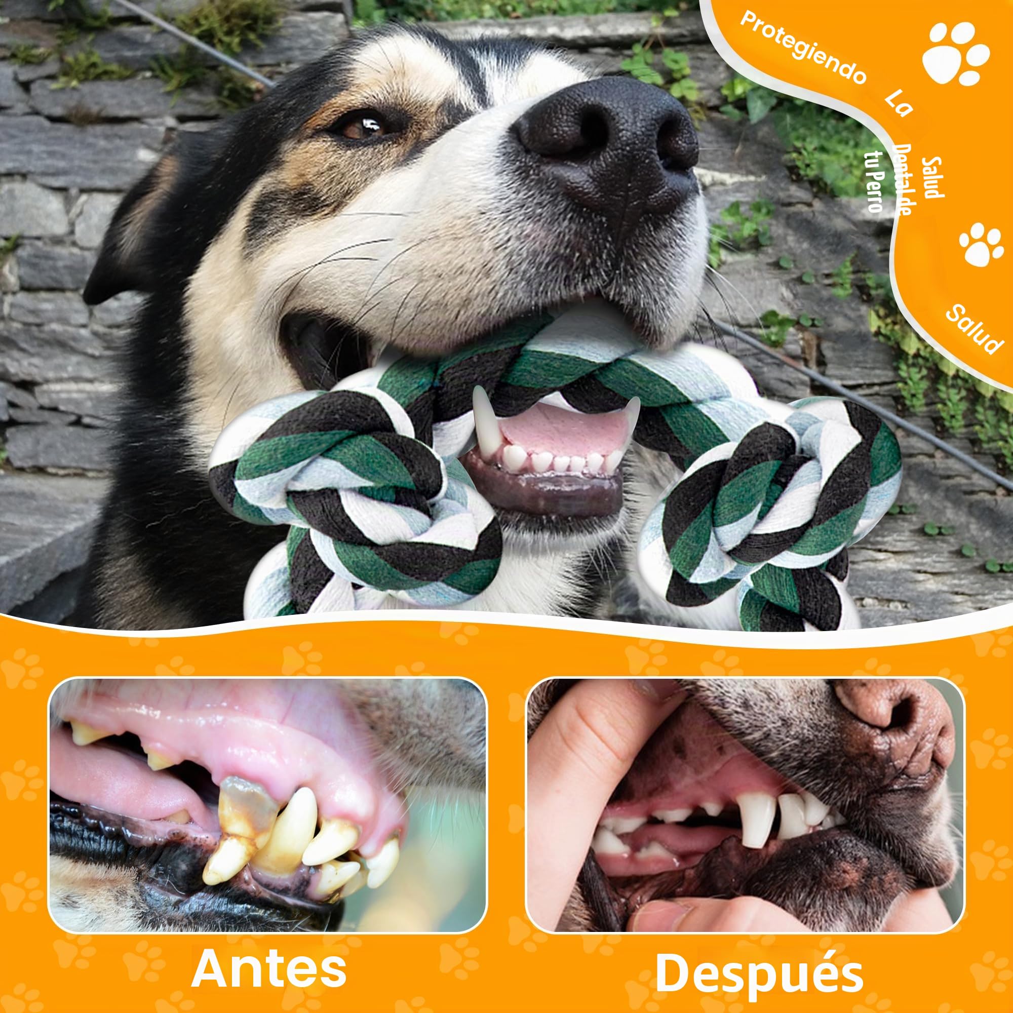 Ycozy Juguete de Cuerda de 6 Nudos para Perros 100cm Extra Grande Juguete Resistente para Masticar Perros, Juguetes Interactivos para Cachorros/Masticadores Agresivos y Razas de Grandes