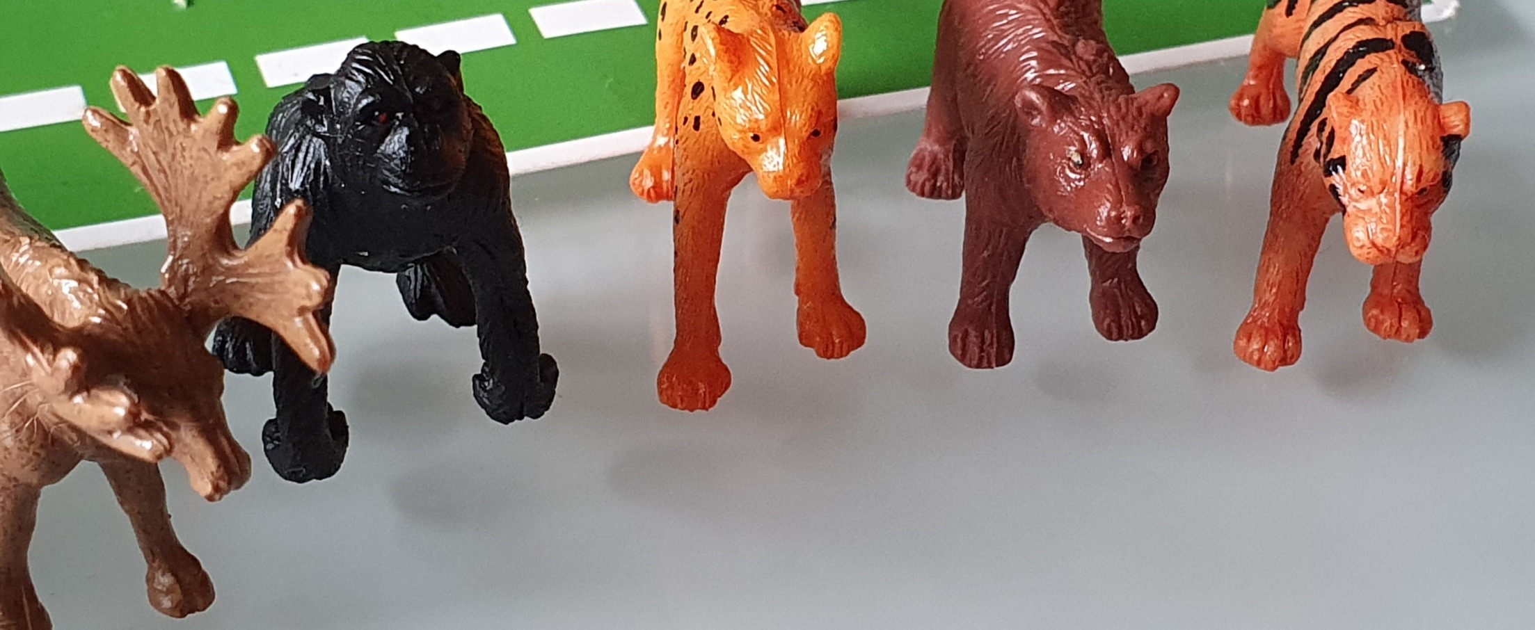 Terra 60-Piece Animal Figures Collection Wild Panama | Ubuy