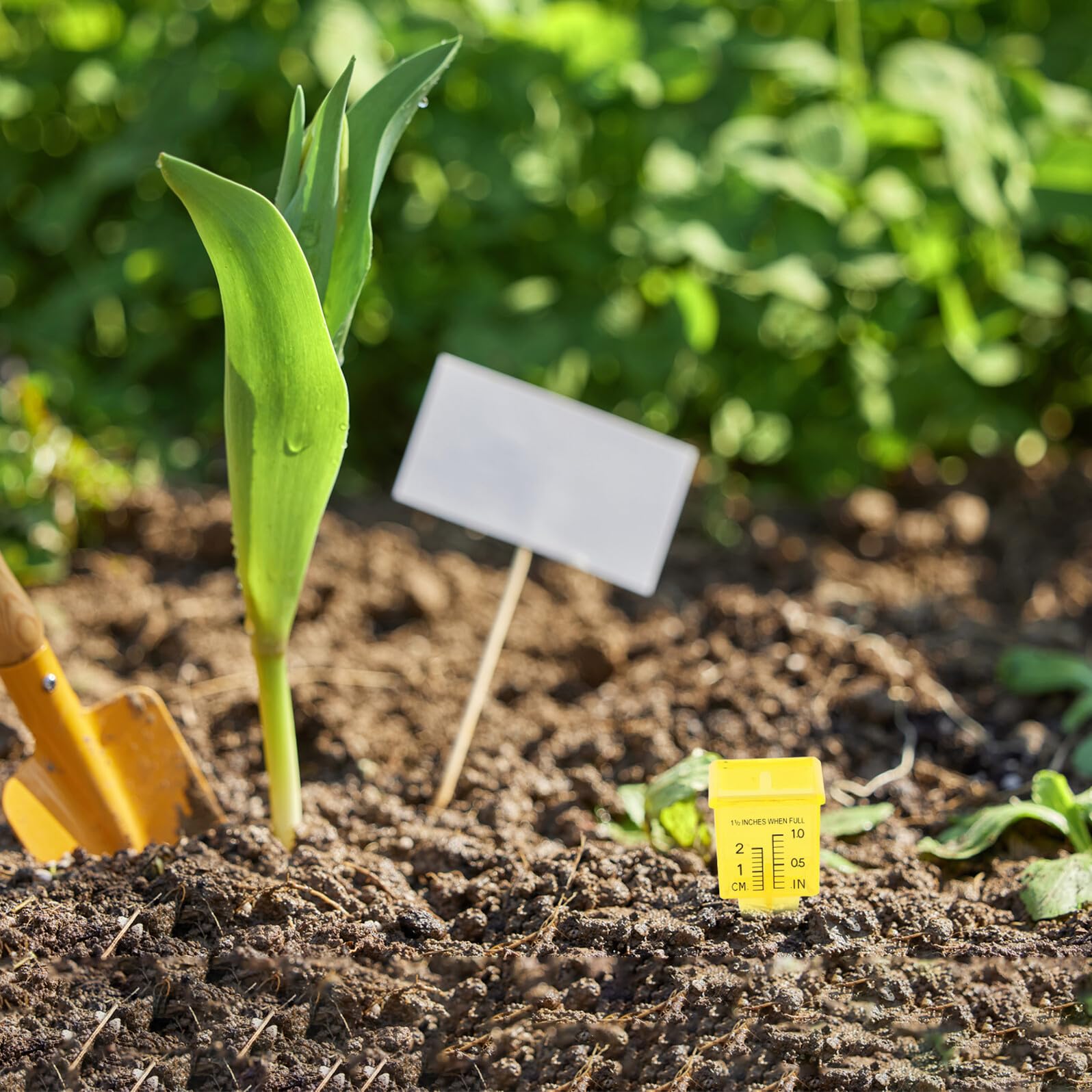 UPKOCH 15pezzi Pluviometro Manuale Per Esterni Misuratore Di Pioggia in Plastica Per Prato Indicatore Acqua Per Irrigatori Da Giardino Resistente Ai Raggi Uv Intemperie