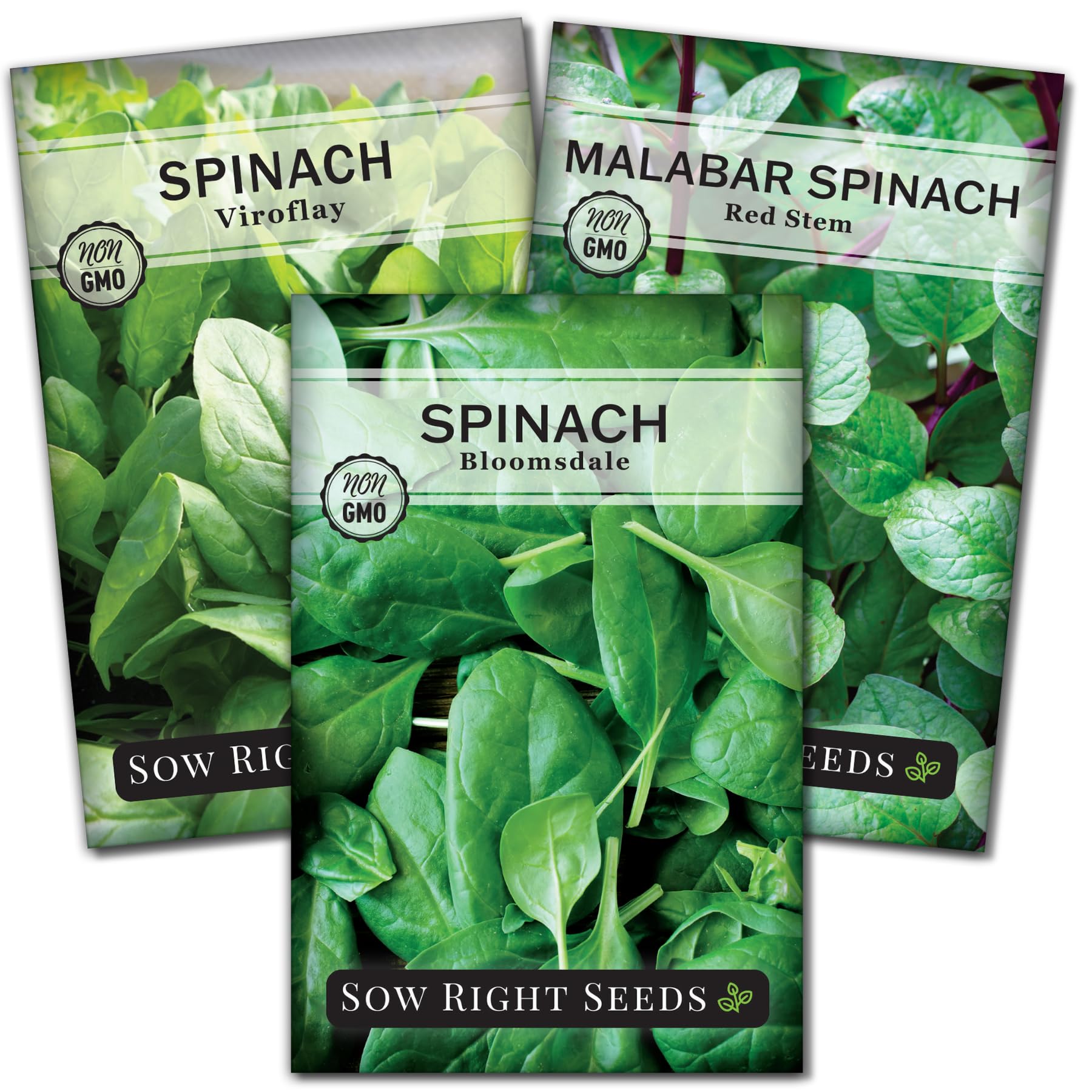 Sow Right Seeds - Spinach Seed Collection for Planting - Viroflay, Malabar & Bloomsdale Spinach - Cold Hardy Vegetable Seeds for Growing - Mix of Hardy, Flavorful Greens - Non-GMO Heirloom Packets