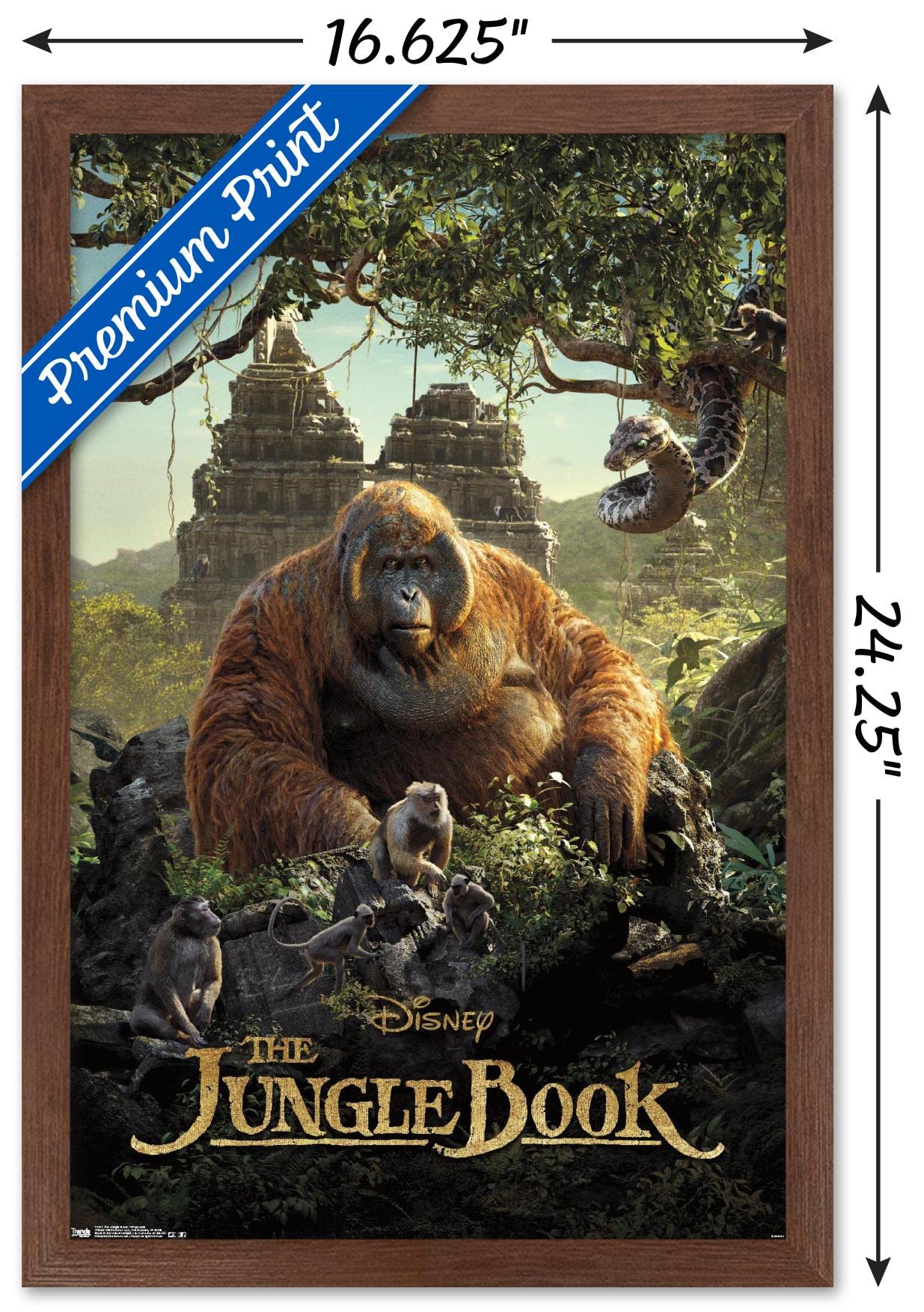 Amazon.com: Trends International Disney The Jungle Book - King 