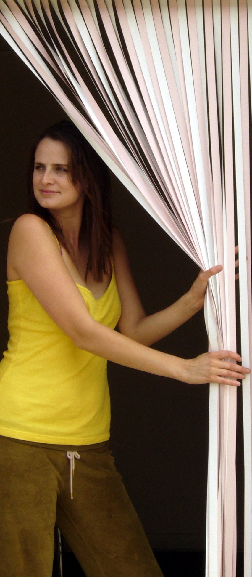Holland Plastics Pink Slat Door Strip Door Curtain, Fly, Bug Curtain 80Cm X 200Cm - & White